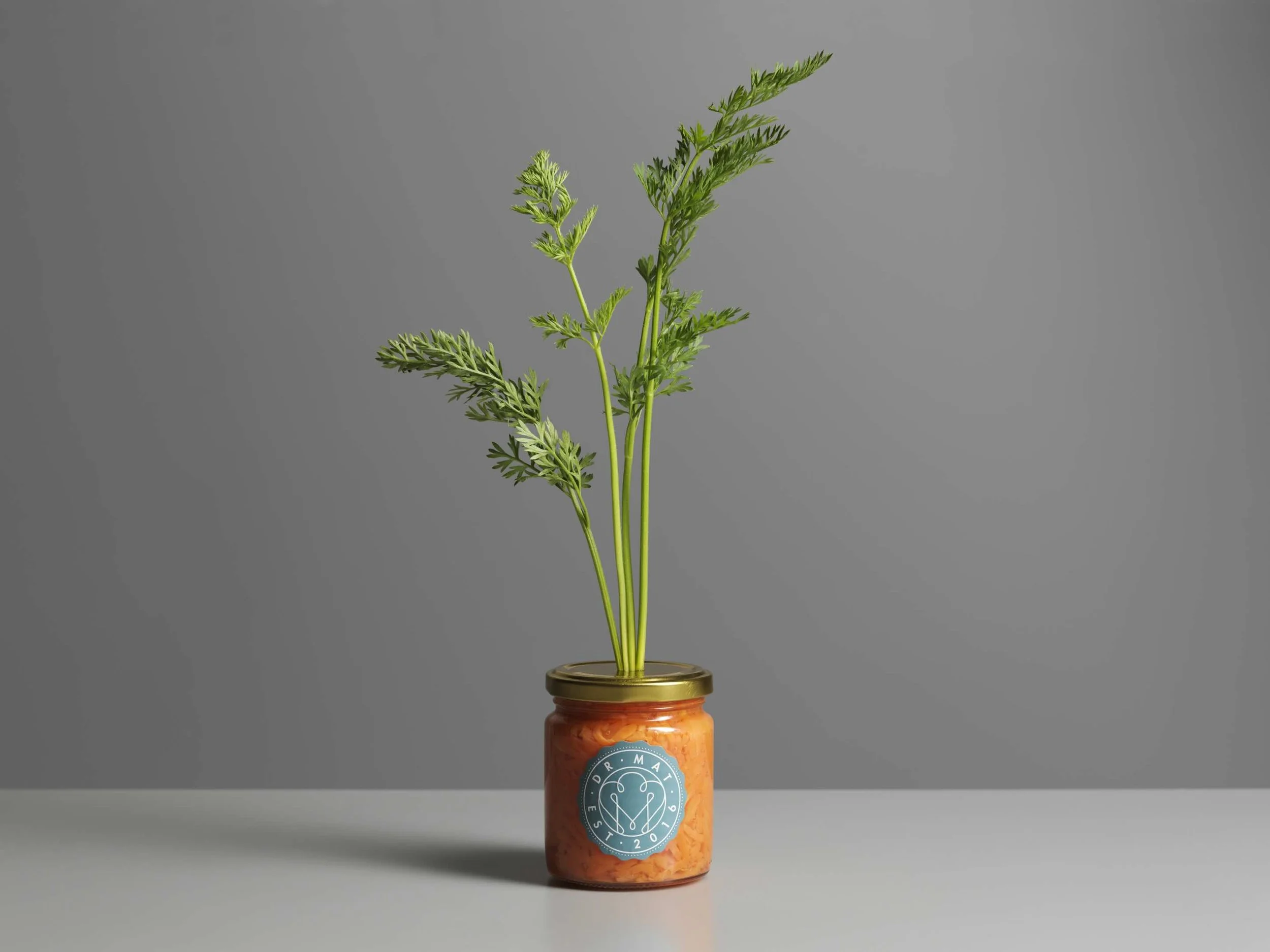 Näringsrika råvaror – fermenterade grönsaker från Dr Mat