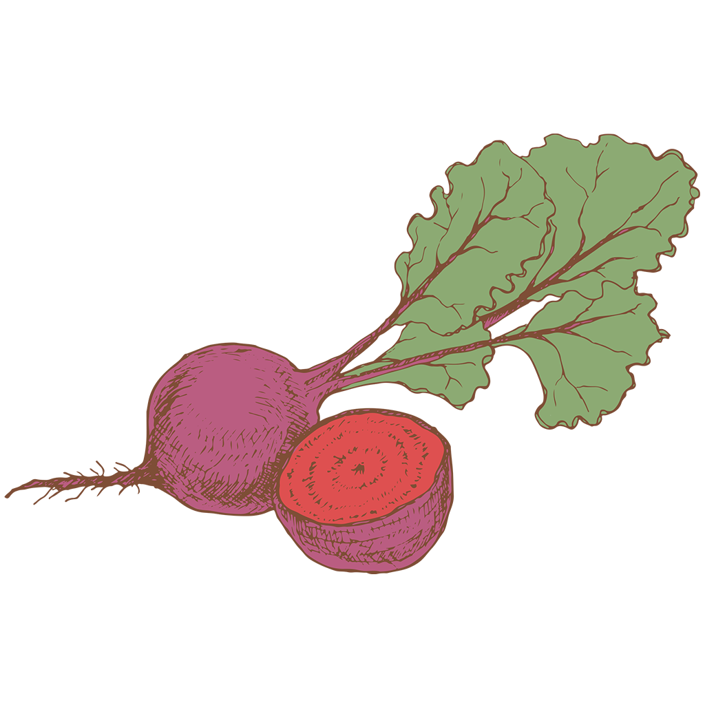 Illustration of a beetroot with one whole beet and one sliced beet showing the red interior, along with green leaves and stems.