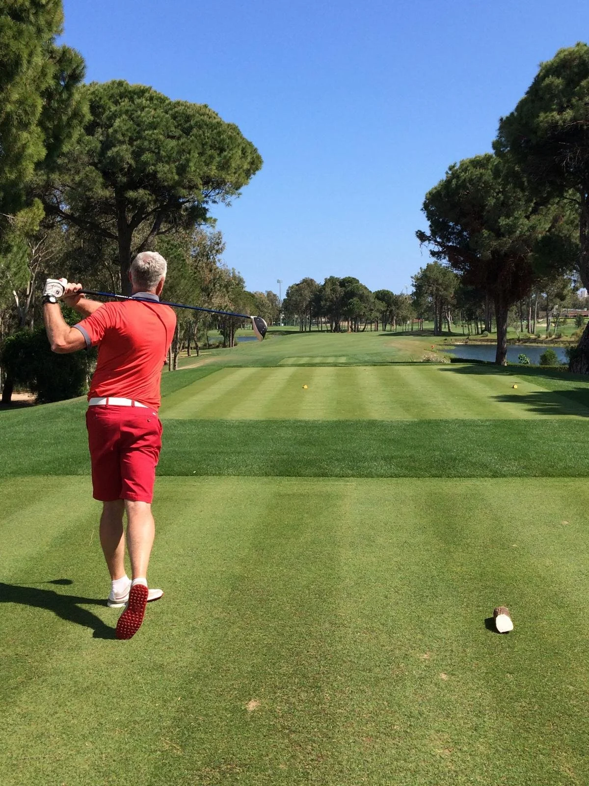 Man in red outfit golfing on a sunny day, with trees lining a manicured fairway