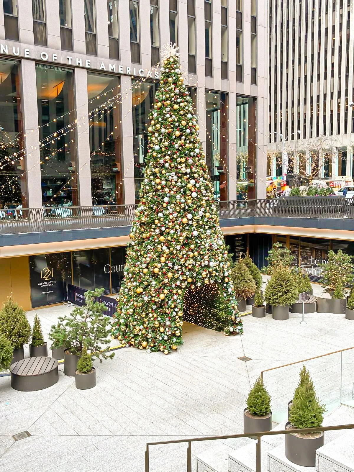 14edbaa8-c41d-4da1-9af9-71bc419ae993 2.jpeg