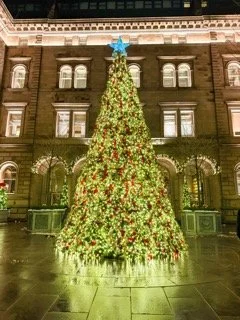 IMG_0150 Small.jpeg