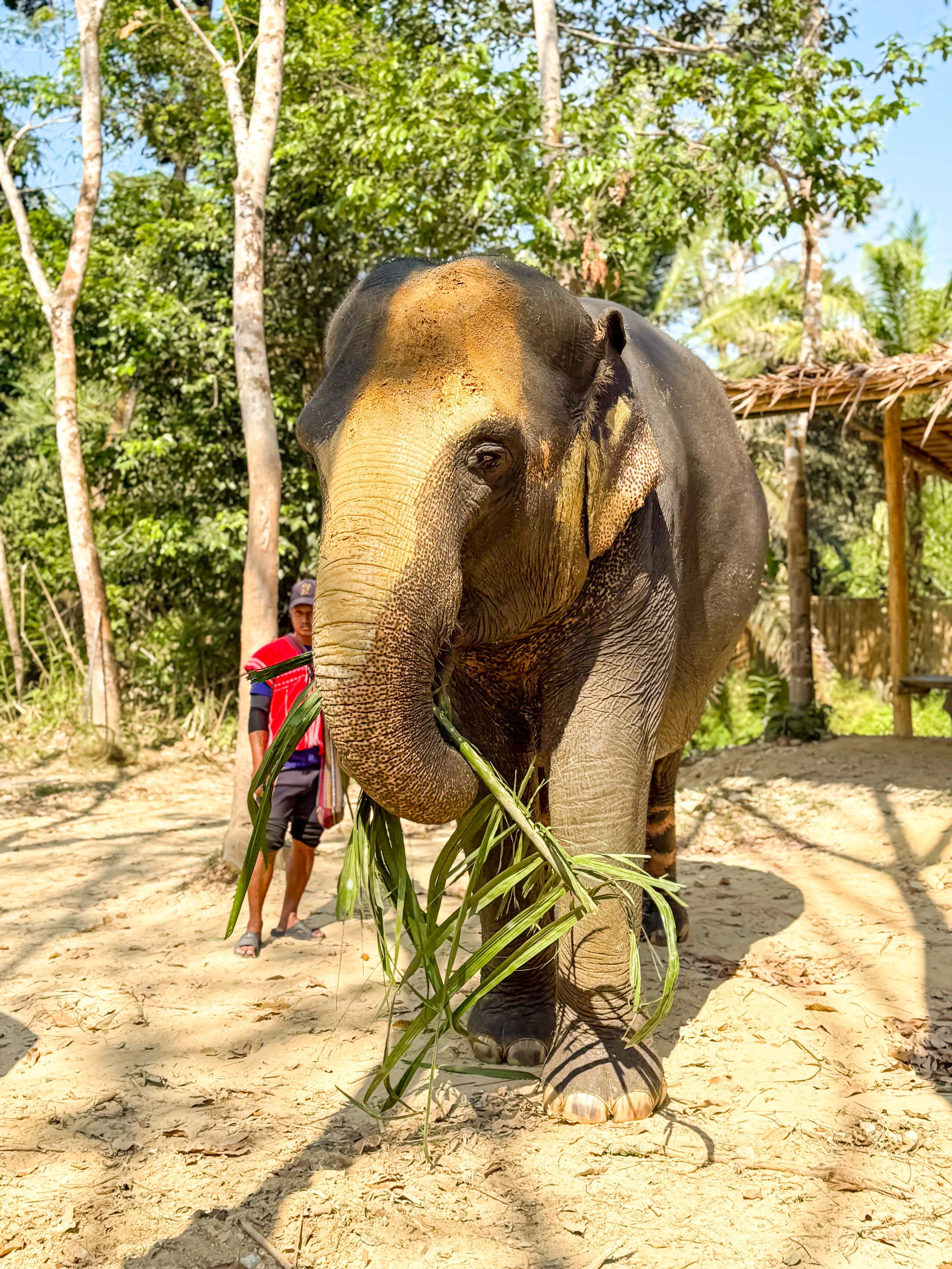 Things to Do in and Around Khao Lak.JPG