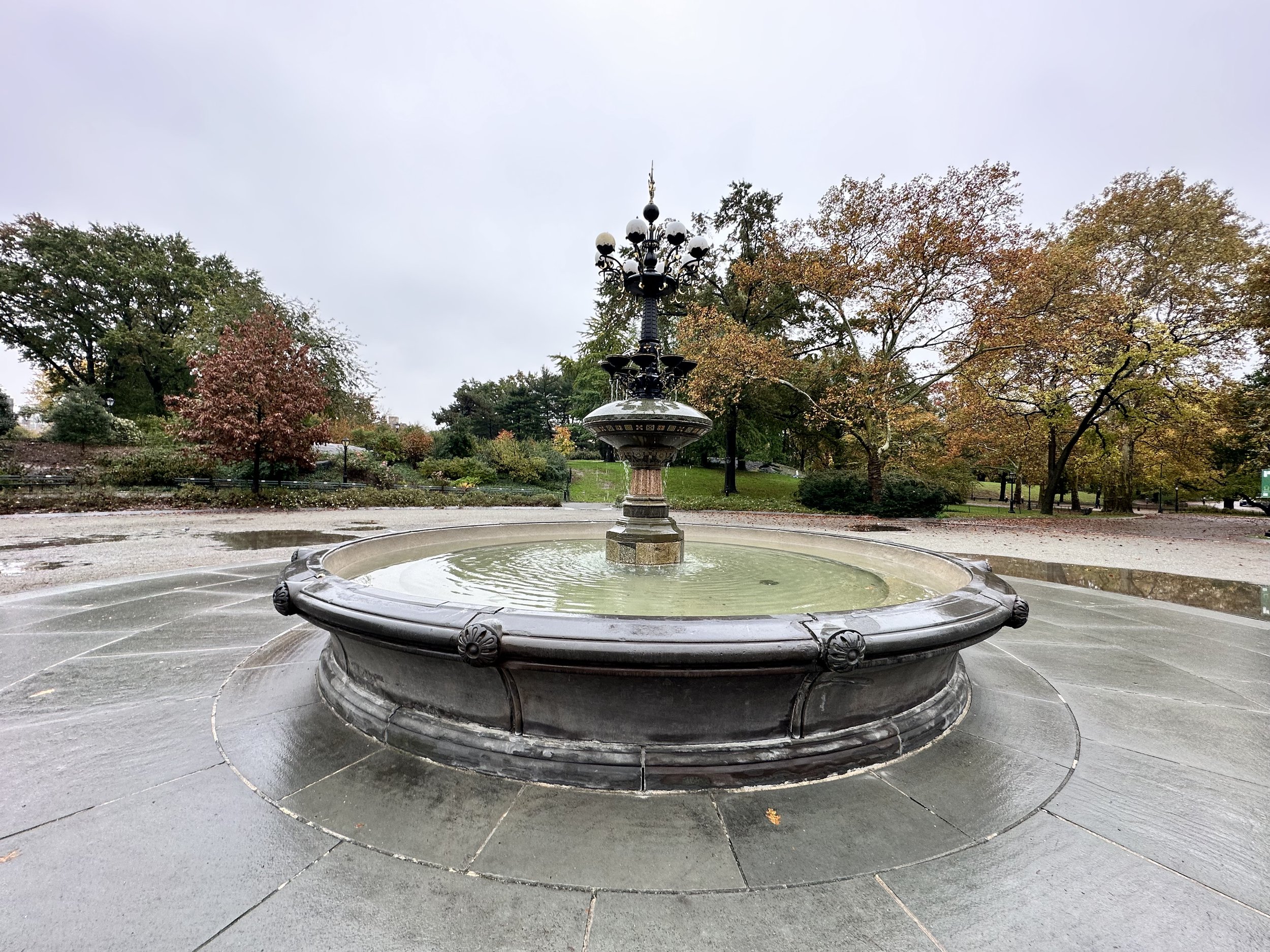 IMG_8102.jpeg