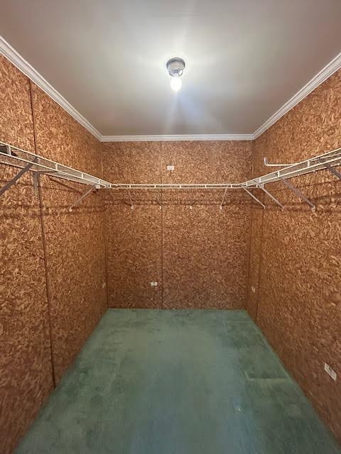 Master BA closet.jpg