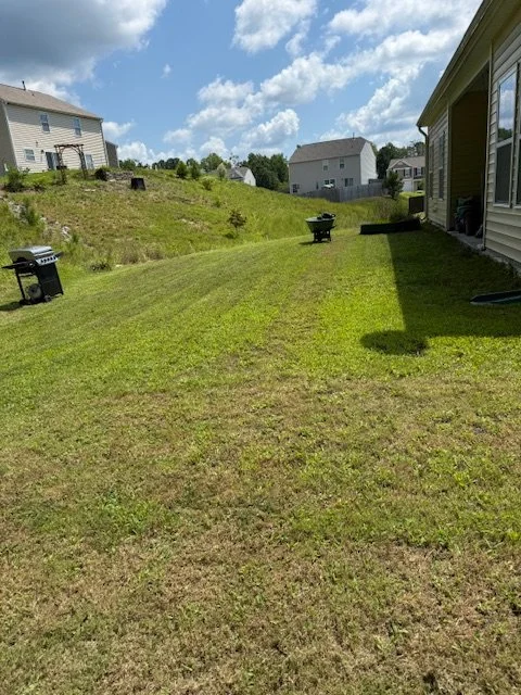 back yard.jpeg