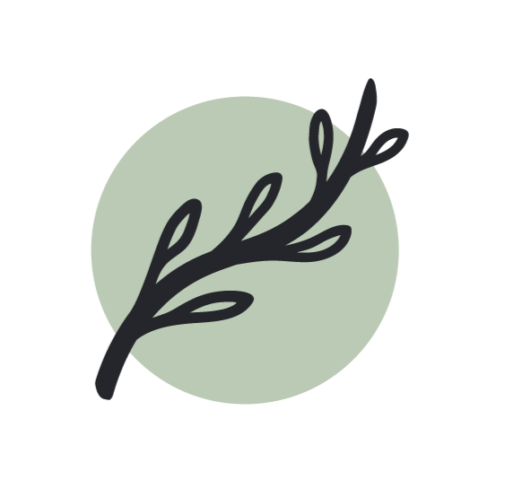Minimalist illustration of a plant branch with leaves in front of a light green circle.