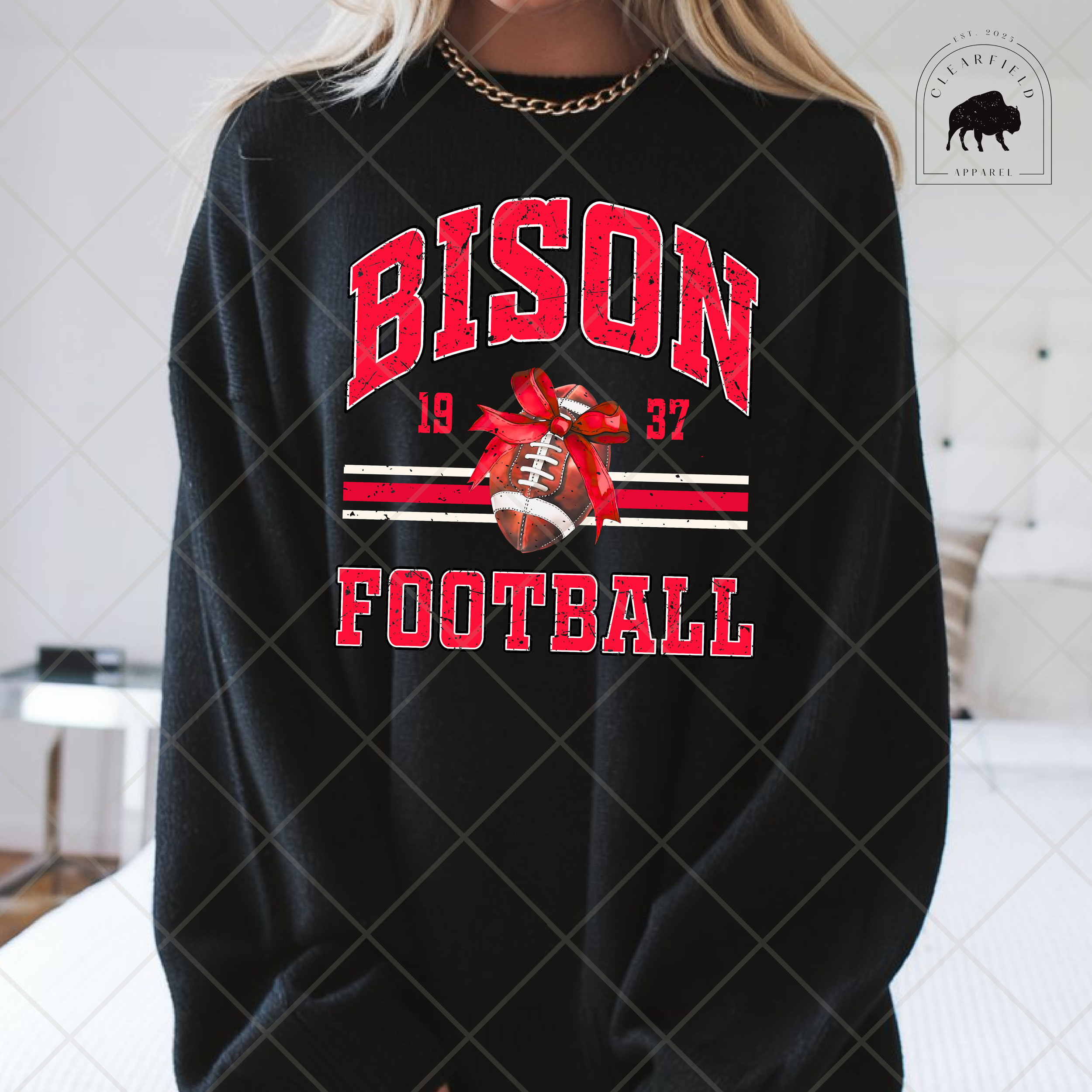 Bison Football with Bow