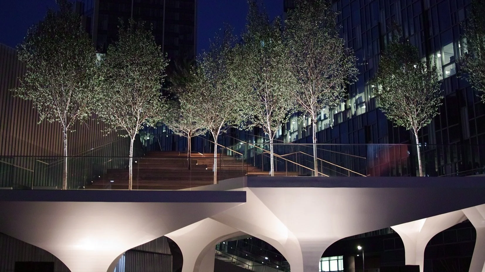 Night view of modern architecture with trees on a raised platform, illuminated by artificial lighting.