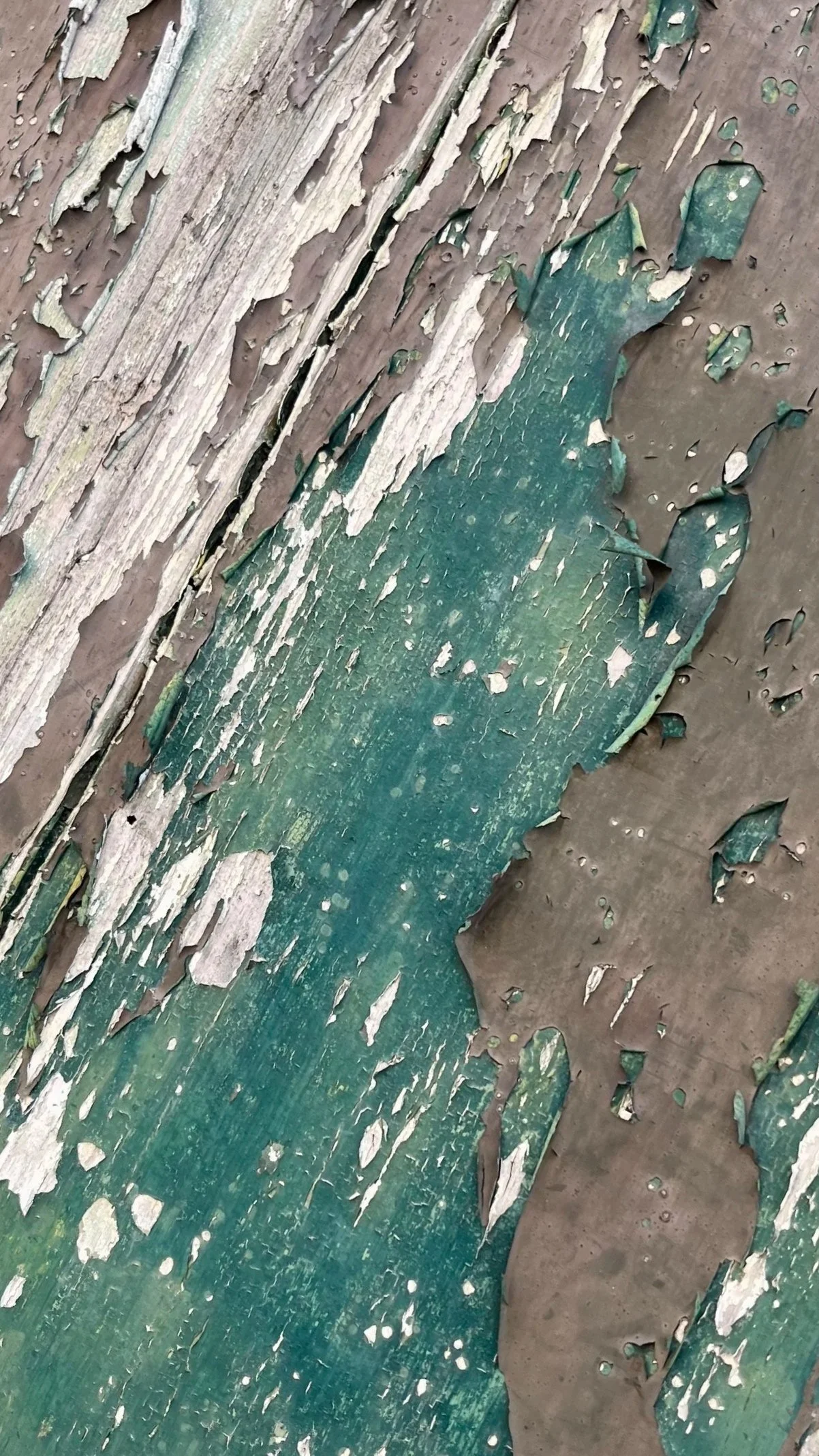 AURELIE CALLIGARIS PATINES