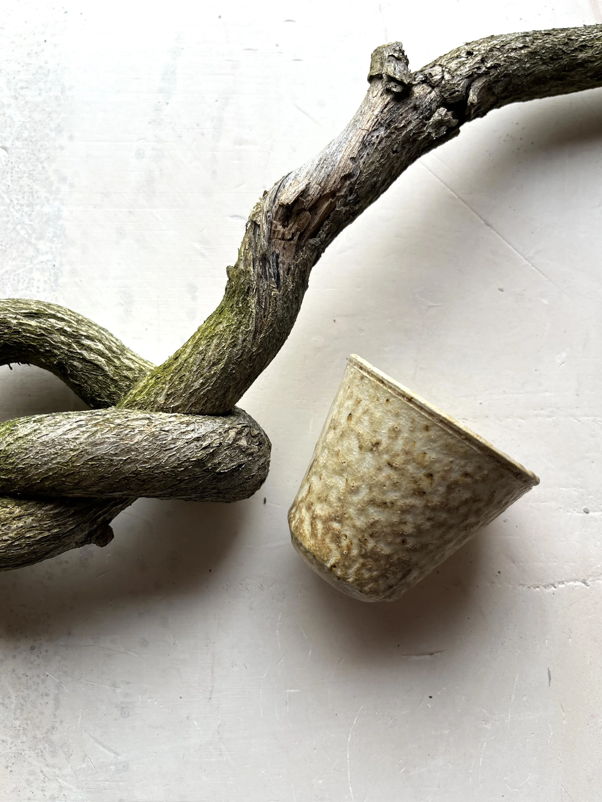 AURELIE CALLIGARIS ROCHES, CENDRES ET RACINES