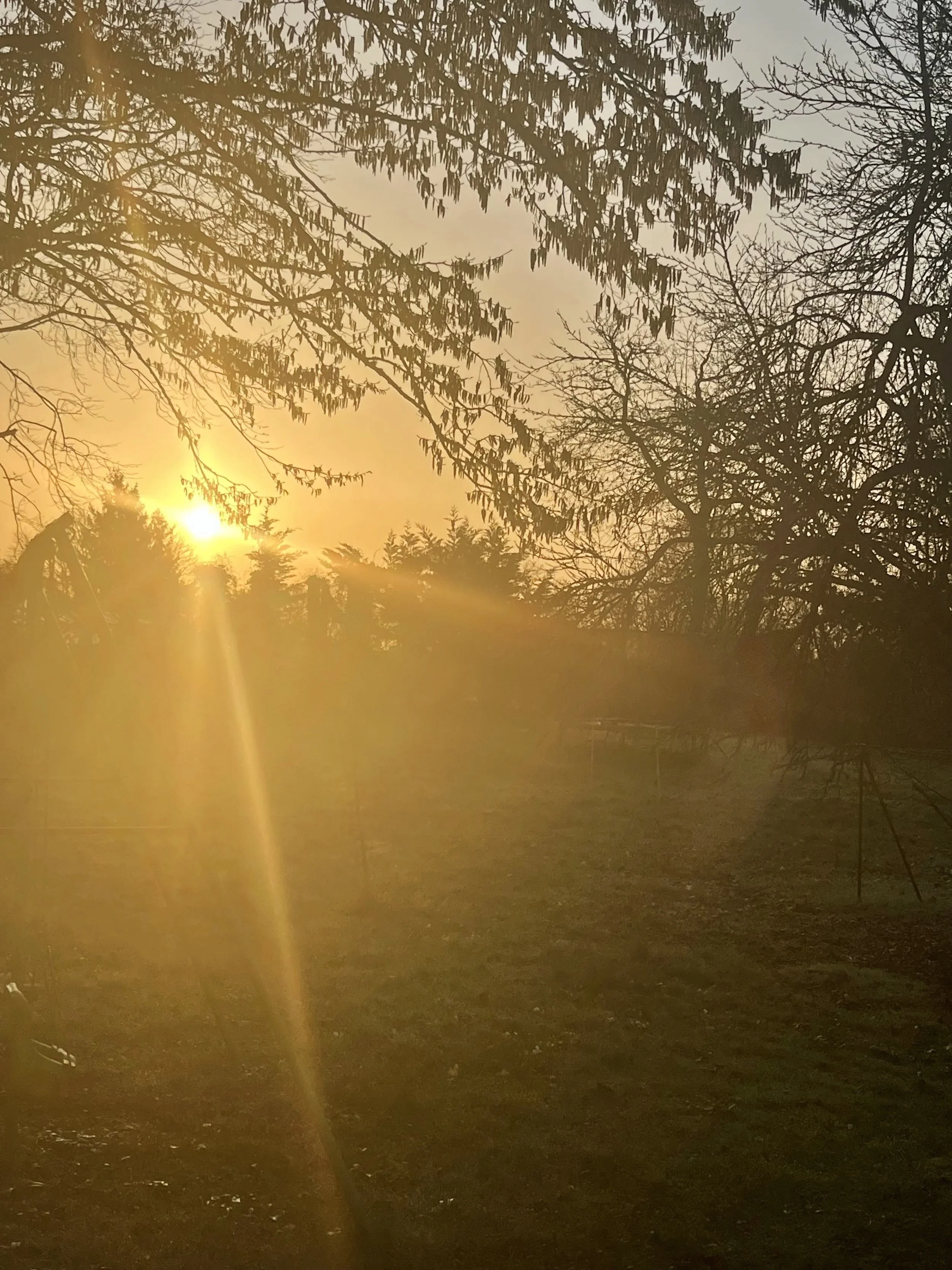 AURELIE CALLIGARIS CERAMIQUES