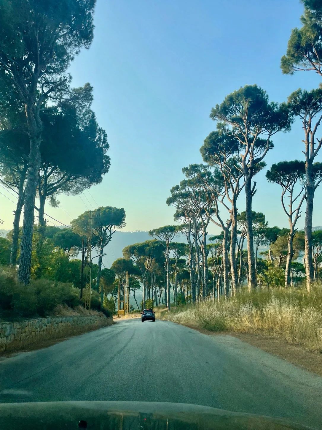 Driving in the mountainous region of Lattakia, Syria