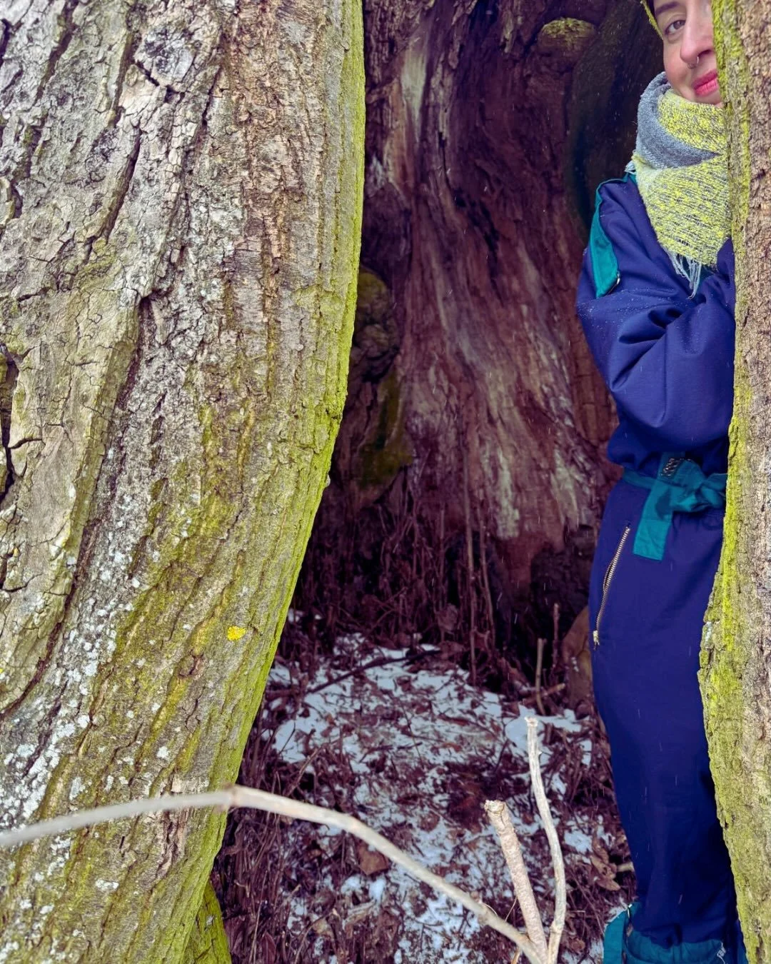 Returning to the forests of my childhood I am now listening to them differently. 
These past 3 weeks with @liene.jurgelane and @hannaguh in the borderland forests have been about slowing down: placing microphones on bark, singing into the wind, liste