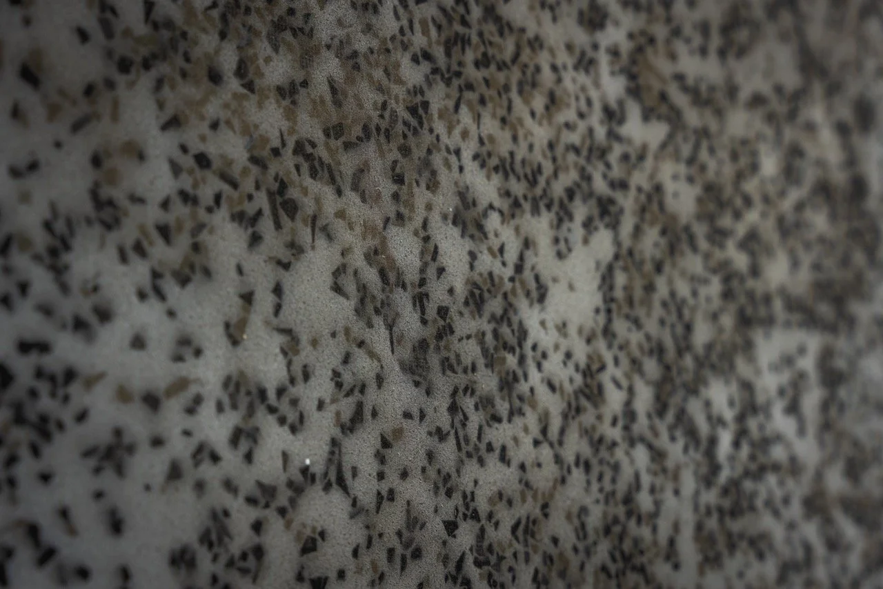 Groß (IPTech(10-8-25)-10).jpeg