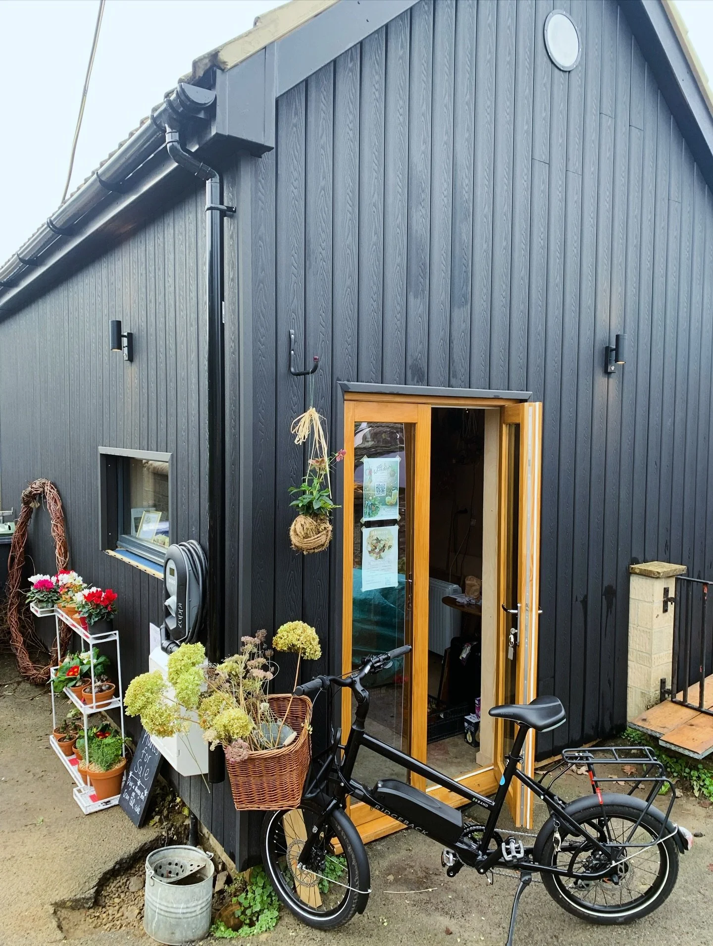 ✨🪴Flower pots for sale🪴✨

Local plant &amp; flower pots are now for sale! 
They&rsquo;re cared and decorated beautifully by hands from SAW Plants and Blooms 💫

Swing by to collect or message me to reserve yours before prices go up for Christmas 🎄