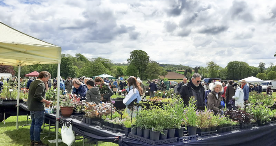Plant Fair at Yarlington House