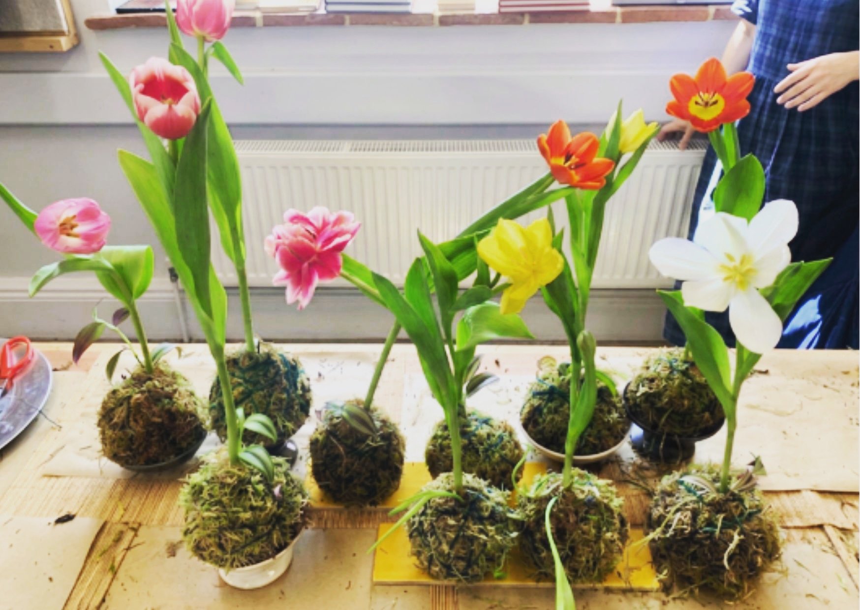 A little reminder that I'll be at NIWAKI this Saturday for a relaxed Kokedama Workshop. 🌿
There are still a few spaces left if you'd like to create your own living moss garden and enjoy a slower morning with nature, like-minded people, and a cup of 