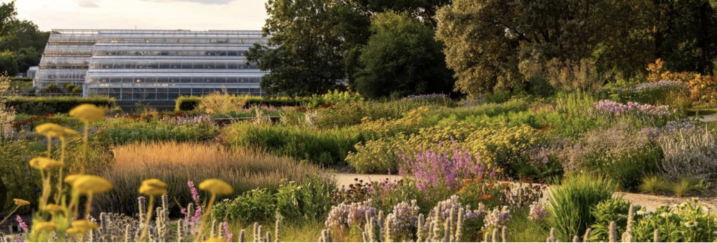 RHS Wisley Flower Show 2026