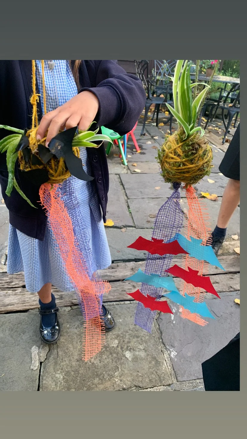 Halloween Mini Kokedama Making for Families 🎃🌾 2–3:15pm Thursday 29 October