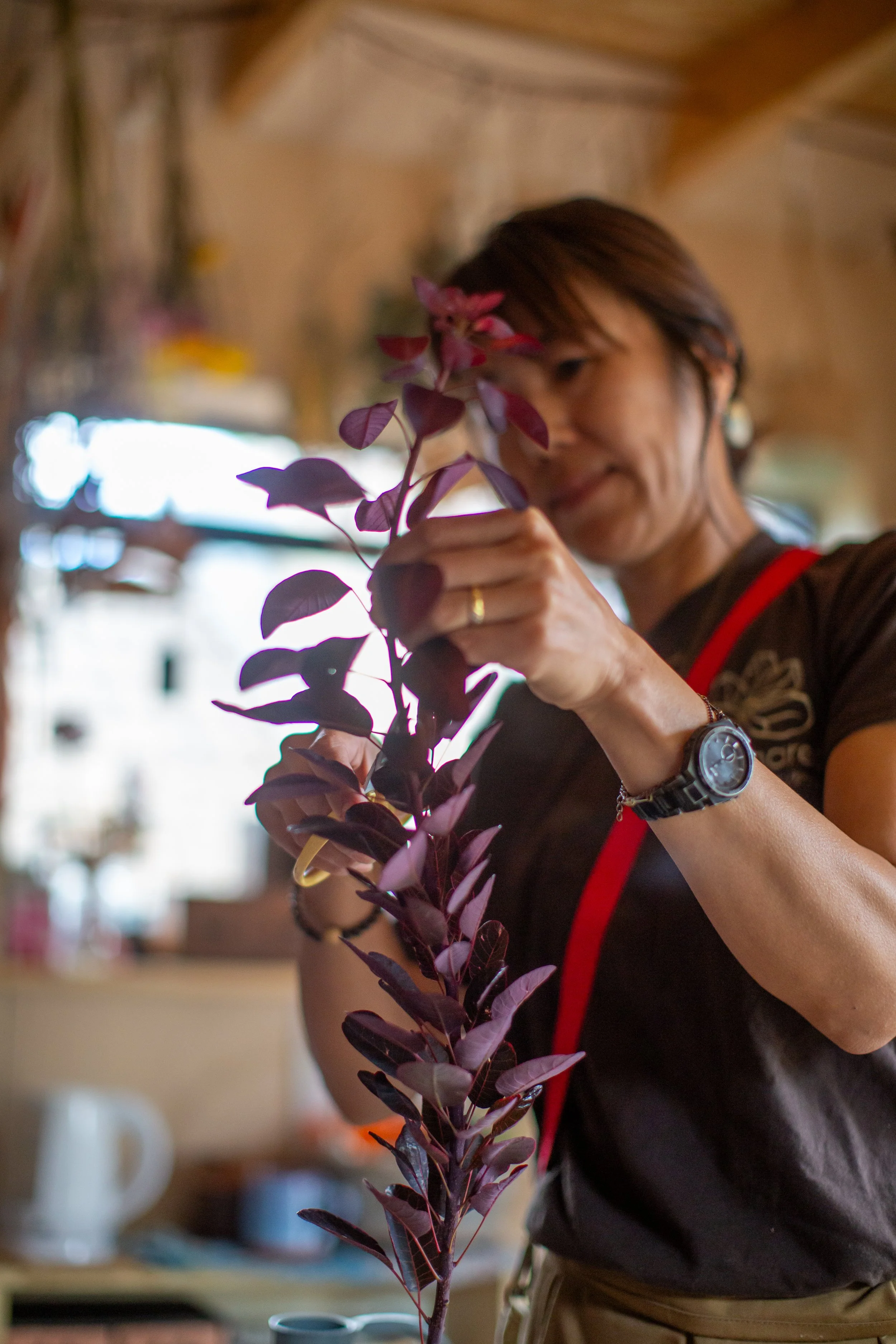 woman with a scissor cutting a plant for kokedama workshop