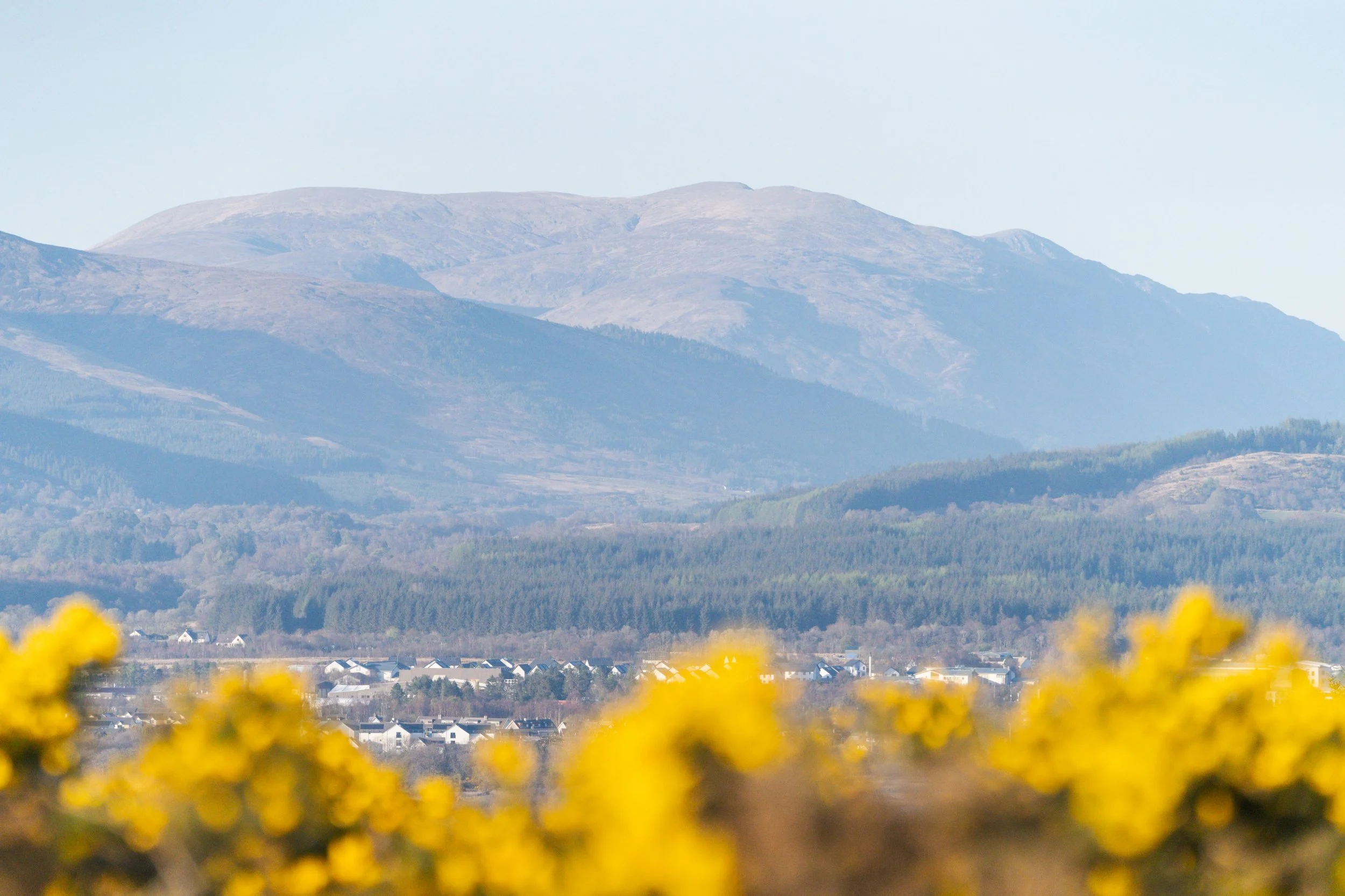 Project Update - Cow Hill Hall