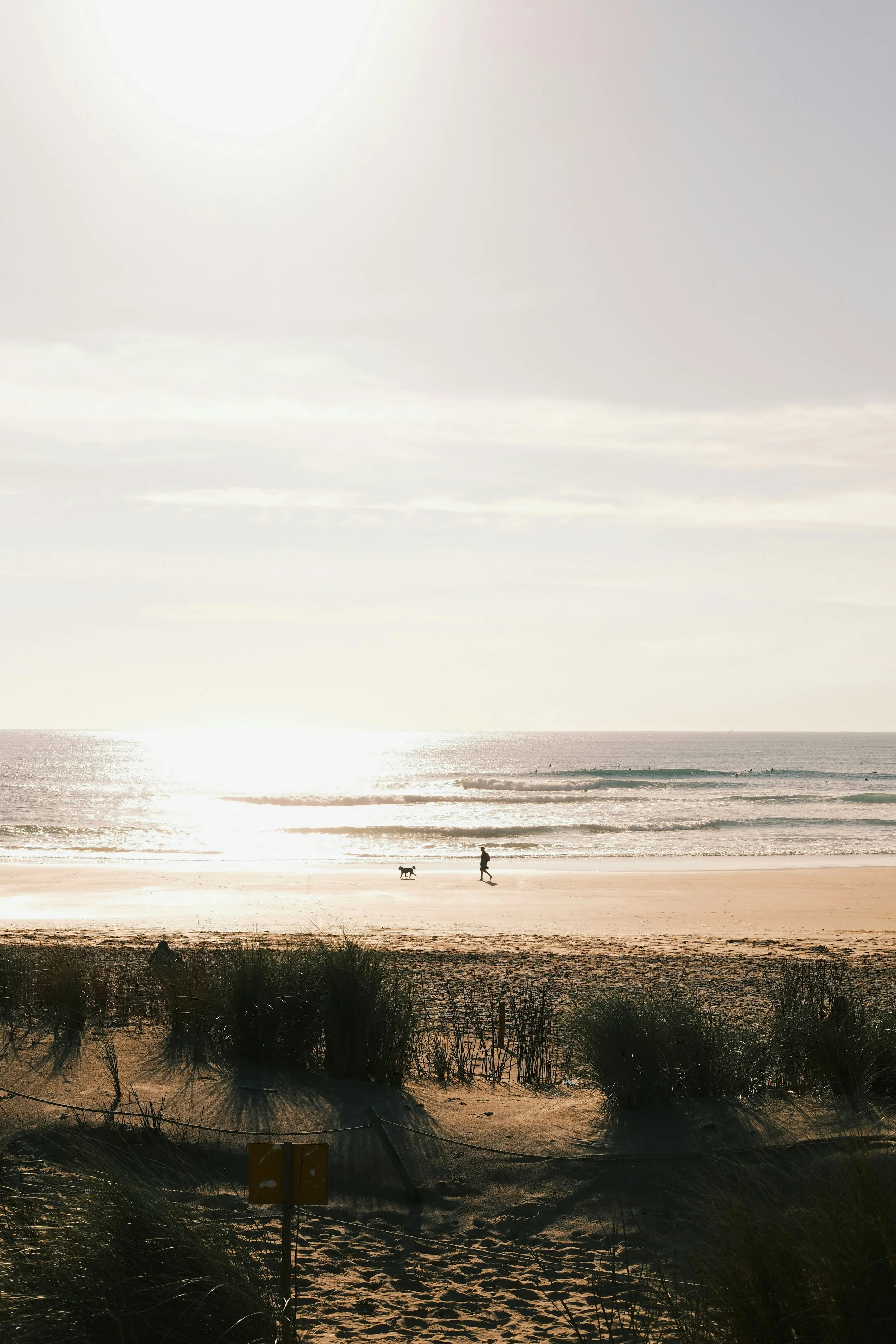 Sunlit beach with rolling waves, surfers in the distance, and a person walking a dog along the shoreline.