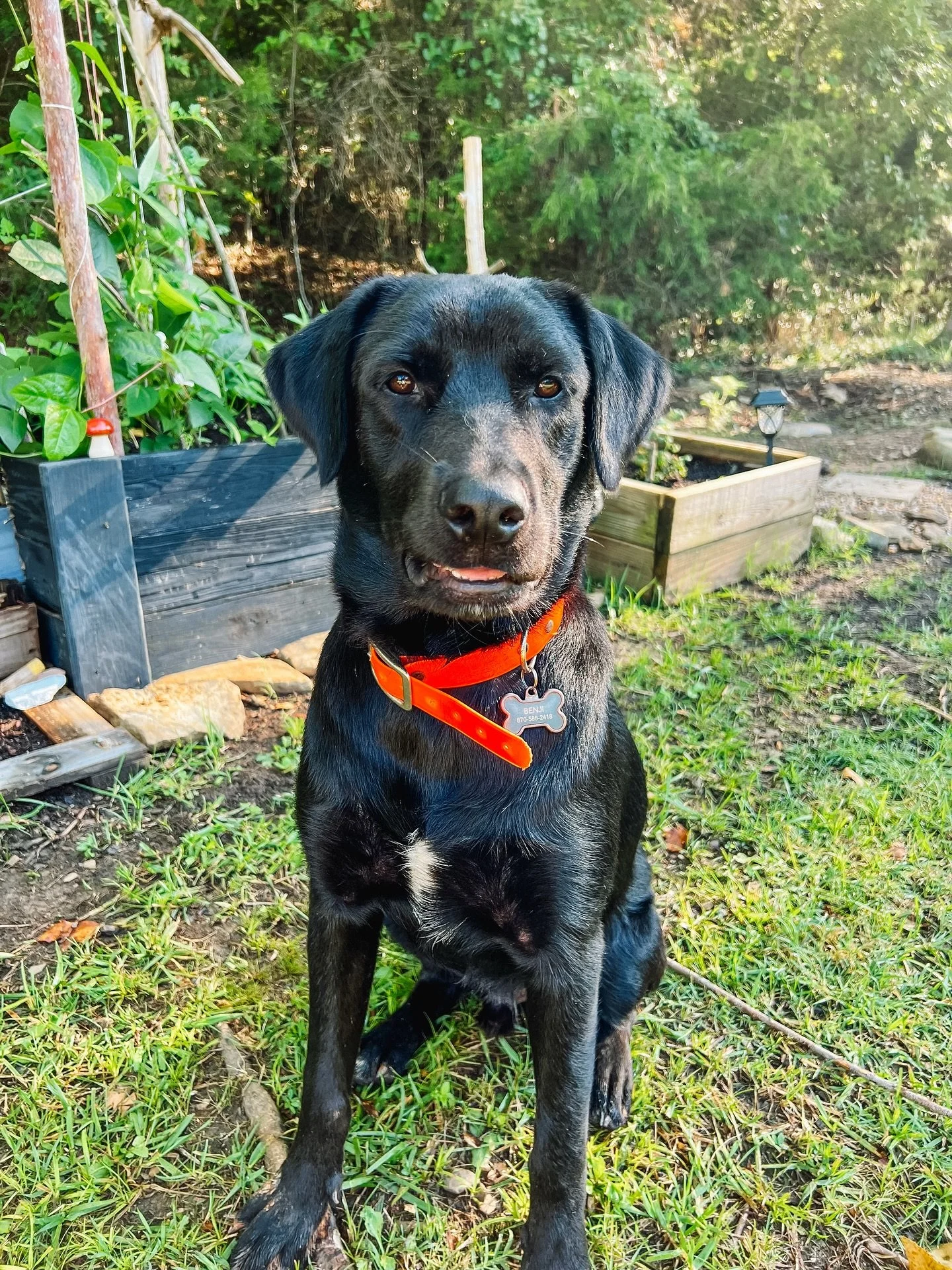 ✨ Our October is filling up fast &mdash; so if you&rsquo;re planning to travel, now&rsquo;s the time to reach out! If you&rsquo;re unsure on dates, that&rsquo;s fine. We&rsquo;ll share our availability and you can confirm once your dates are set. 🙂
