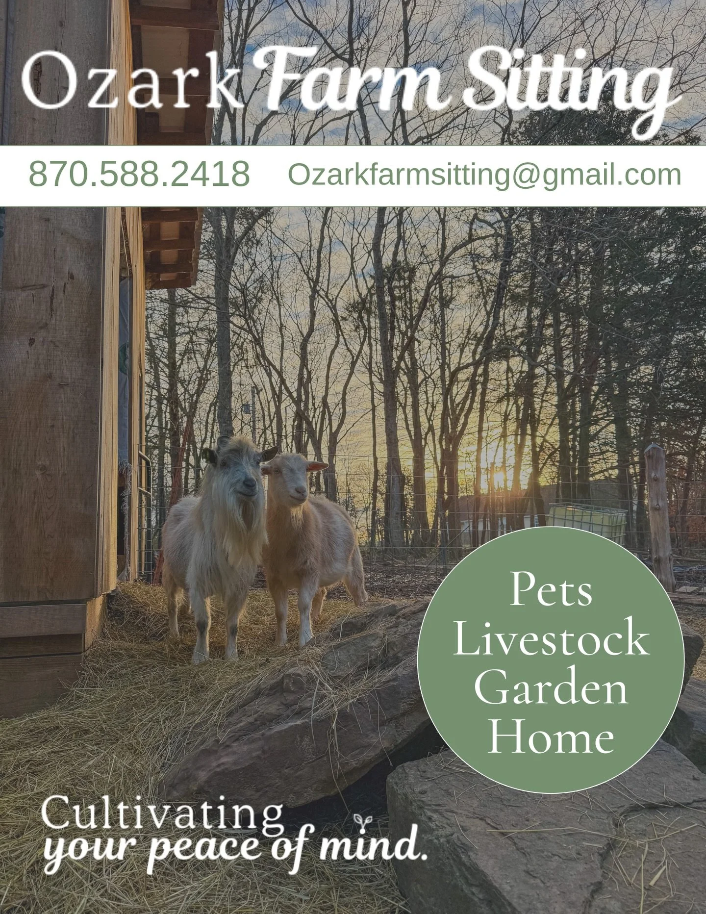 It&rsquo;s getting cold out there, folks! 🥶
On a few occasions I&rsquo;ve already had to break ice for animals while on visits. During the colder months it&rsquo;s important to have a system in place, or coverage, while you&rsquo;re gone to keep ani