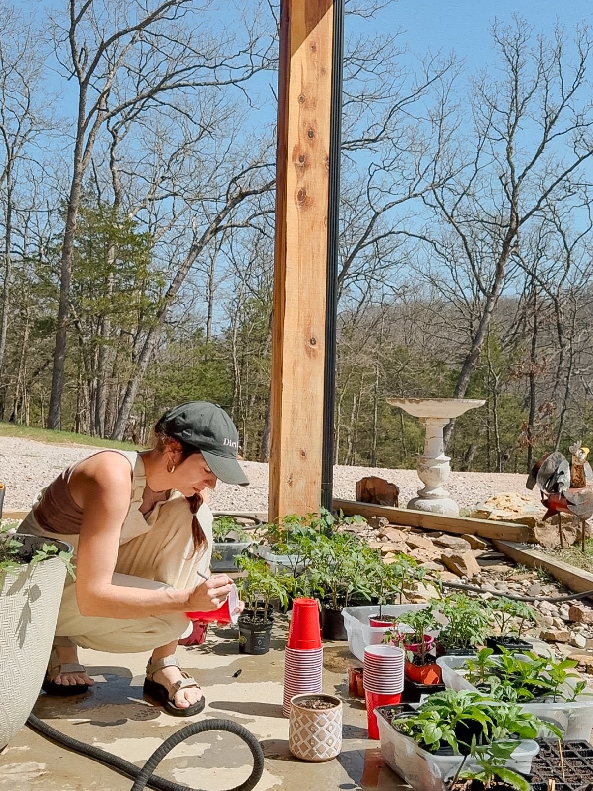 It&rsquo;s that time of year- seed starting! 🌱
I happen to follow zone 6b&rsquo;s guidelines living in Fayetteville, AR. ✨ My dear friends, if your starts and plants need babysitting while you&rsquo;re away&hellip;I do that, too ☺️ No task related t
