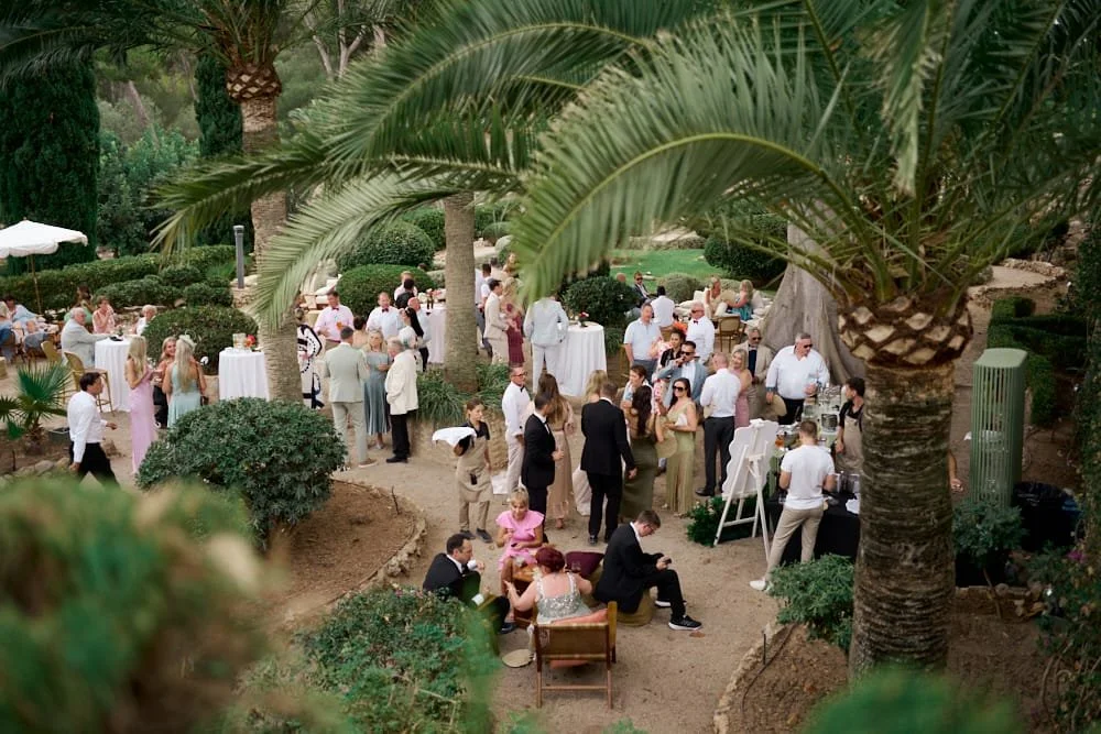 Outdoor gathering with people socializing among palm trees and lush greenery, set up with standing tables and a food station, during daytime.