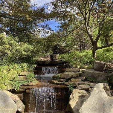 Calling all nature photographers! 📸 Inniswood Metro Gardens is a hidden gem just 10 minutes away. Capture stunning flora and fauna year-round. #NaturePhotography #LocalParks
