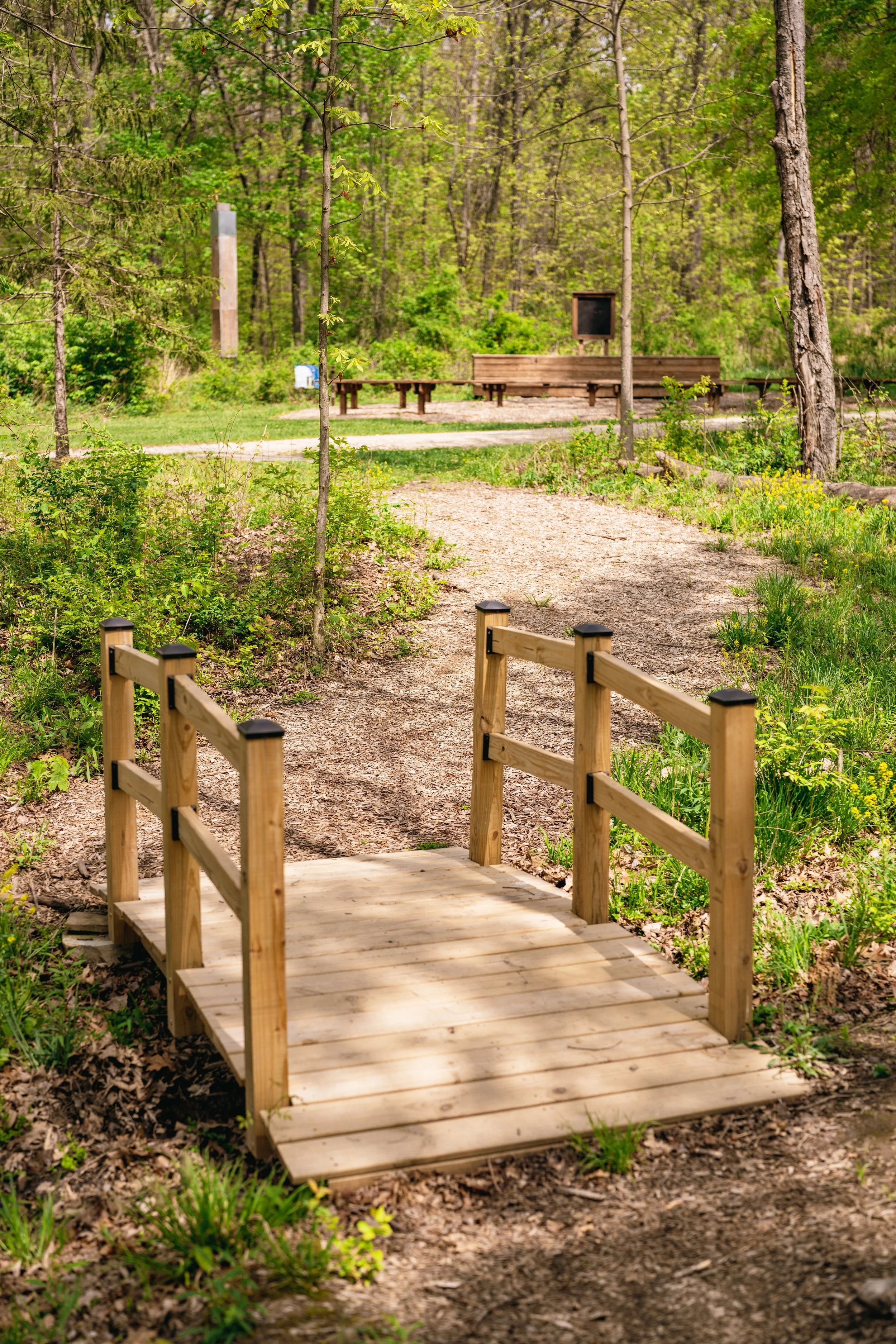 Wooden footbridge over a dirt path in a green forest with trees and bushes, trees in background, and a wooden bench with a blackboard in the distance.
