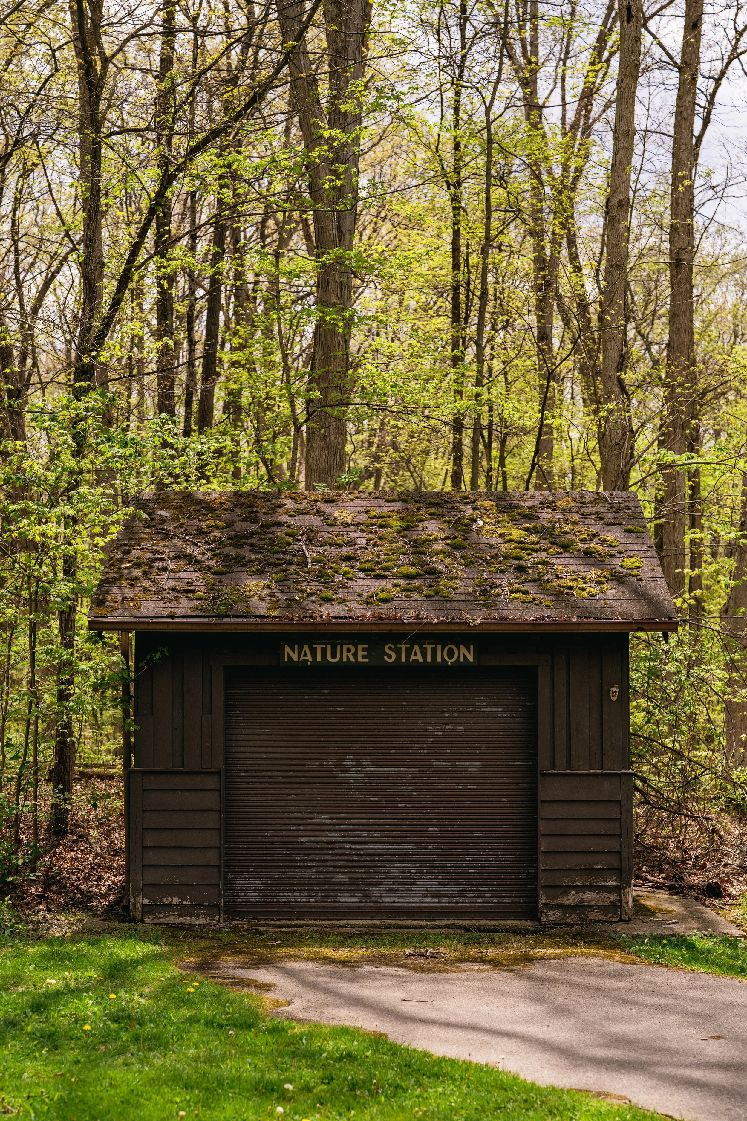 A small wooden structure labeled 'Nature Station' nestled in a forest with tall trees and green leaves. The roof is covered with moss, and there is a paved path leading to the entrance, surrounded by grass and small flowers.