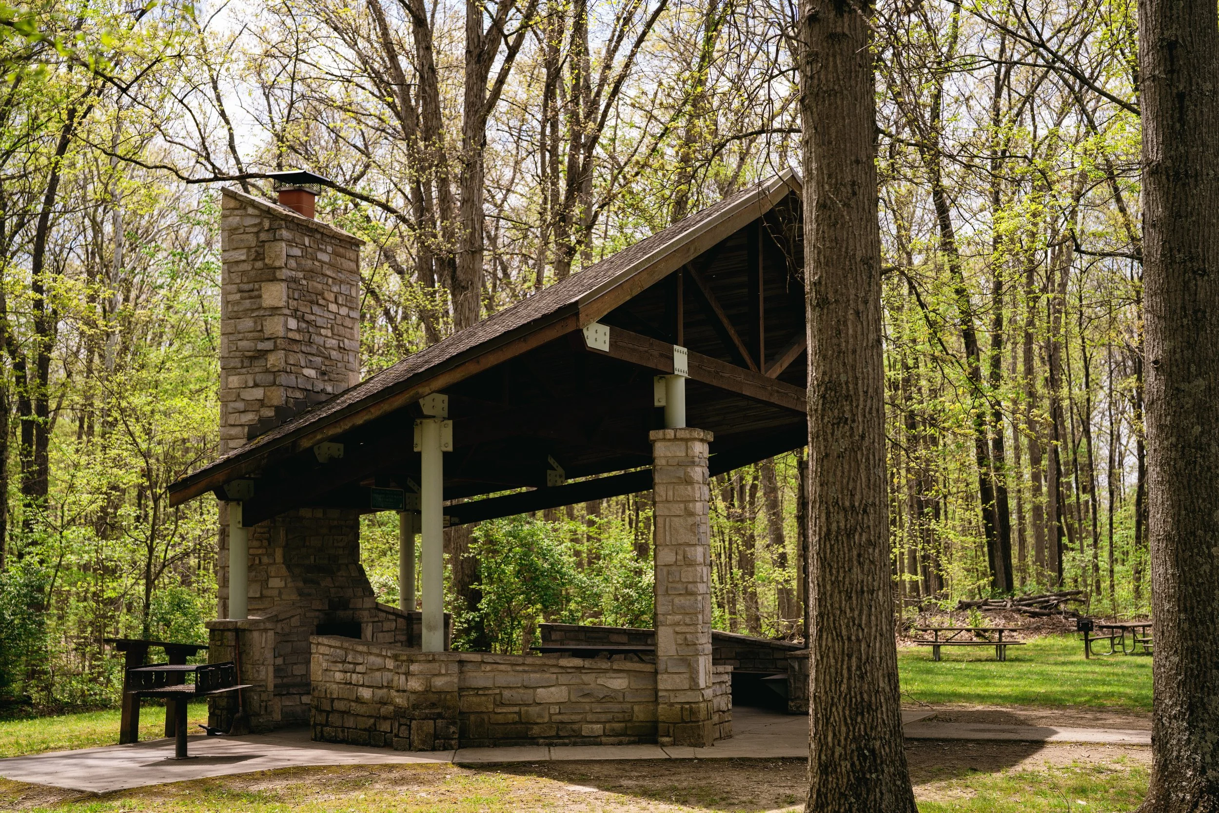 An outdoor park area with a shelter made of stone and wood, surrounded by tall trees with budding green leaves during spring.