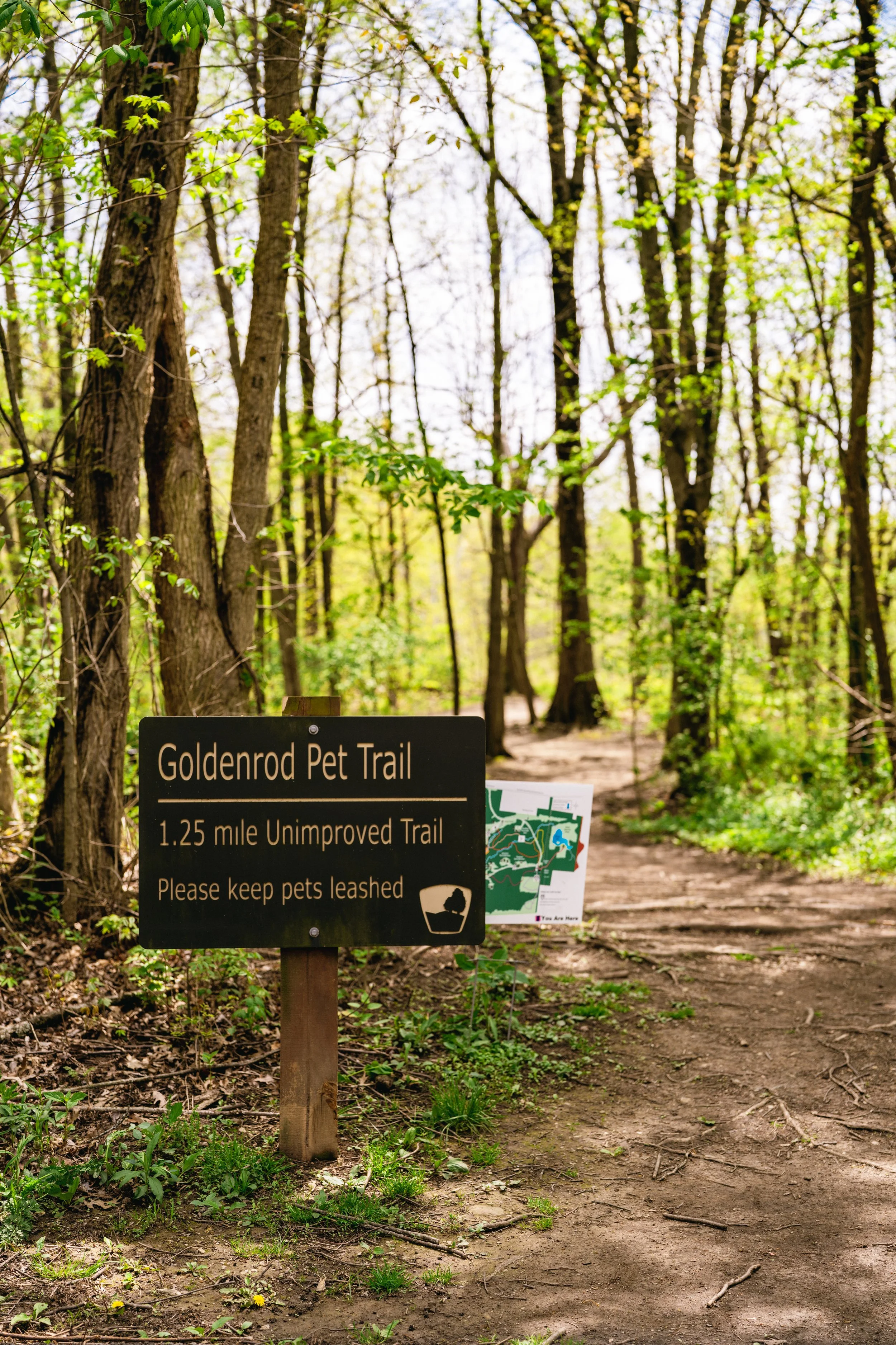 A trail sign at the entrance of Goldenrod Pet Trail in a forest, indicating it is a 1.25 mile unimproved trail and reminding visitors to keep pets leashed. The trail is surrounded by trees with green leaves and a dirt path extends into the woods.
