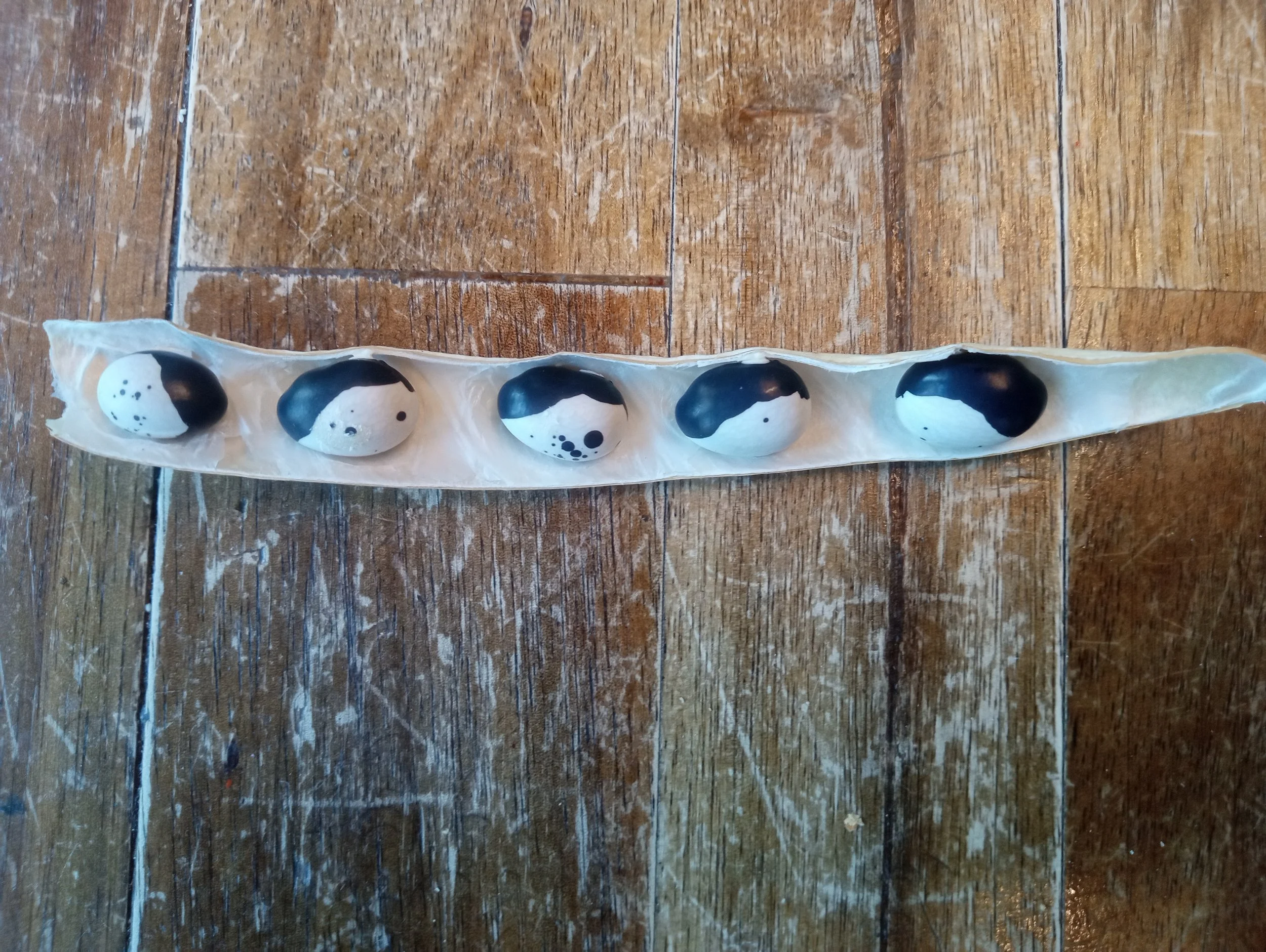 Individual Share - Delivery