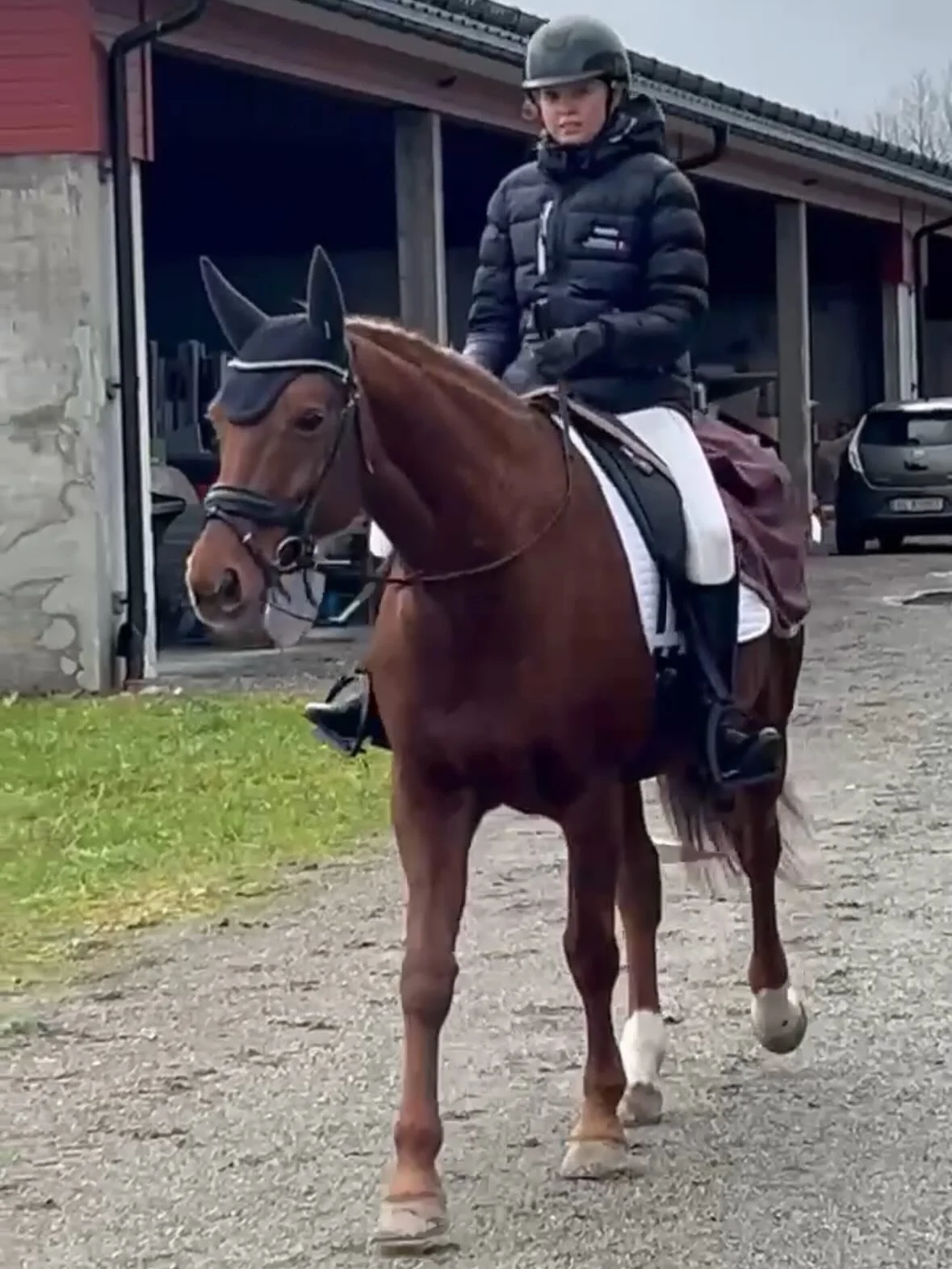Fem klubbryttere har startet dressurstevner i helgen, &eacute;n i Ullensaker og fire p&aring; H&oslash;nefoss.

🍁Hedda Wold og Brusg&aring;rd&rsquo;s Rafine tok turen til Ullensaker, hvor de red LB: &laquo;Fin stevnedag, med en litt ivrig hest og en