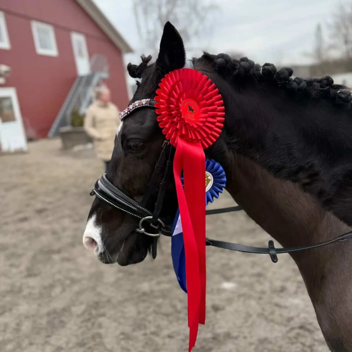To klubbryttere har startet dressur i dag.

🎠Emilie Haugen Ingelsrud og Lillemons Dyna Glide tok ogs&aring; denne helgen med seg flotte sl&oslash;yfer hjem🤩
&laquo;Emilie og Lilo deltok i dag p&aring; dressurstevne p&aring; S&oslash;ndre Nordstrand