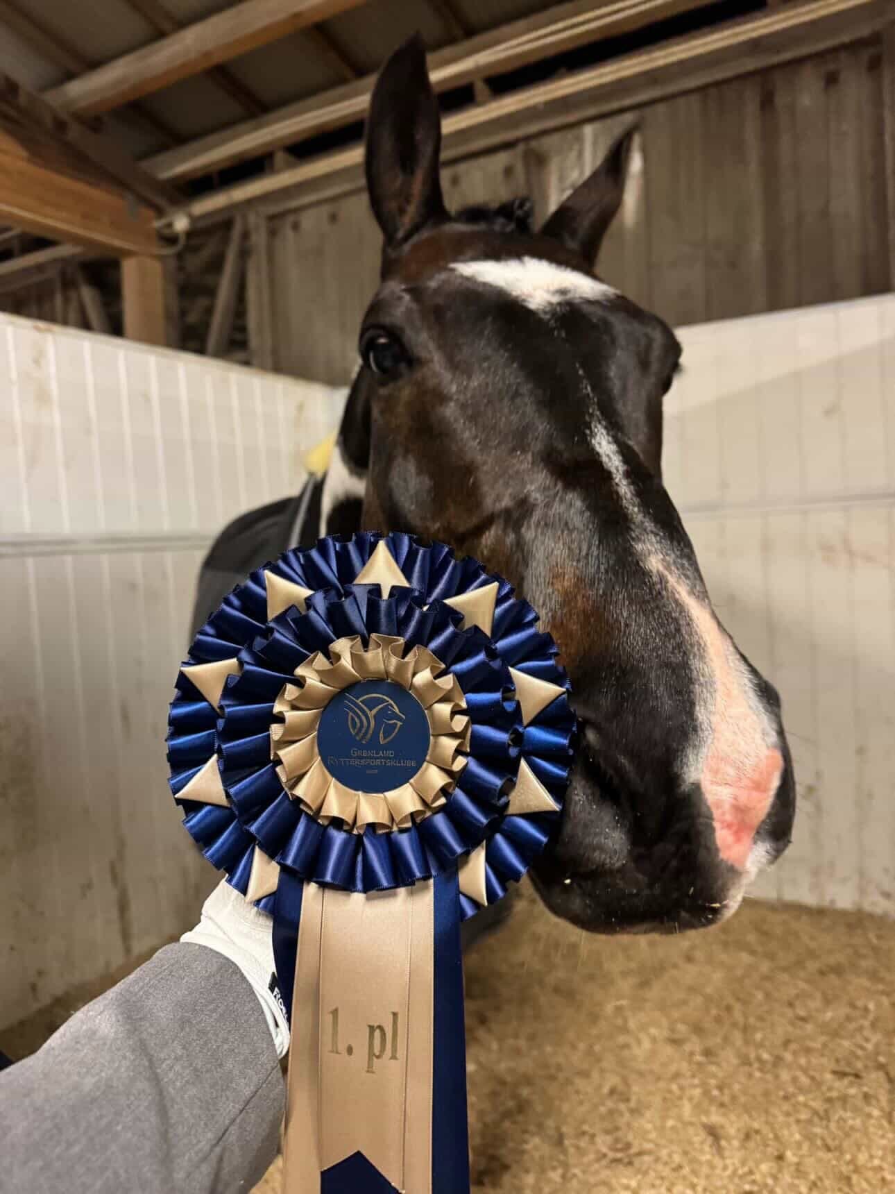 Caroline Fjeldaas og Zalento har startet L-stevne p&aring; Grenland i helgen. To fine runder innenfor dressurrailen endte med 1. og 2. plass i MC🤩

&laquo;En superfin helg p&aring; Grenland med to fine runder i MC!🩷 Vi hadde en helt ok runde l&osla