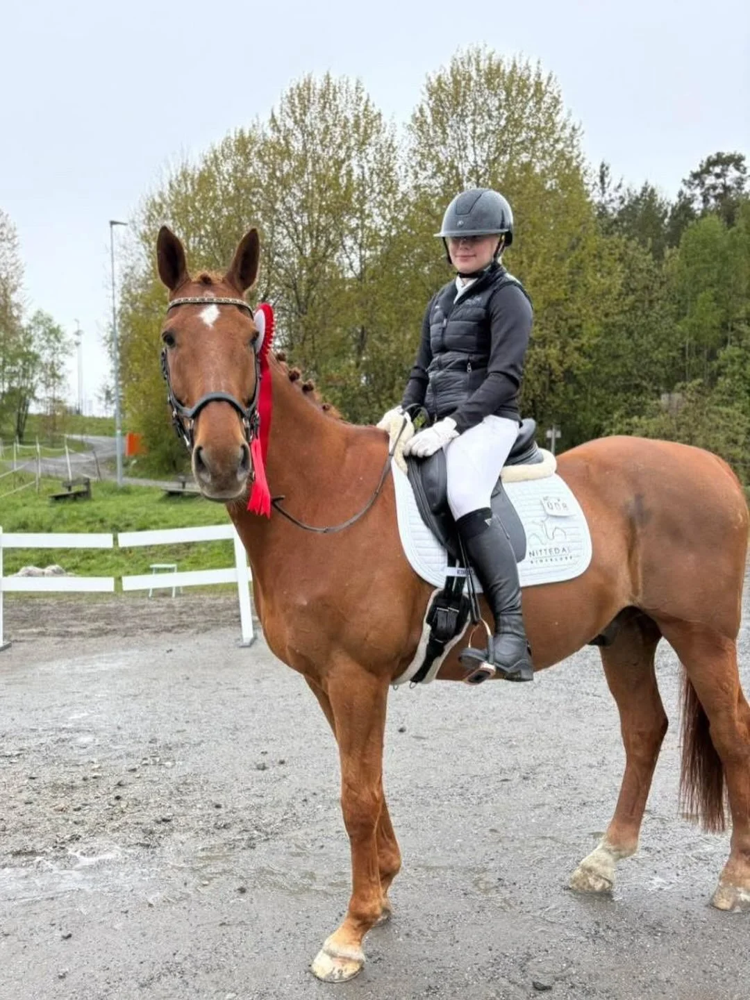 Tre ryttere har representert klubben i dressur i helgen🤩

🎠Helle L&oslash;ken Andersen og Davidhof van het Liedekerkshof startet LC p&aring; S&oslash;ndre Nordstrand, hvor de red en fin runde og tok 2. plass i klassen: &laquo;David var superflink p
