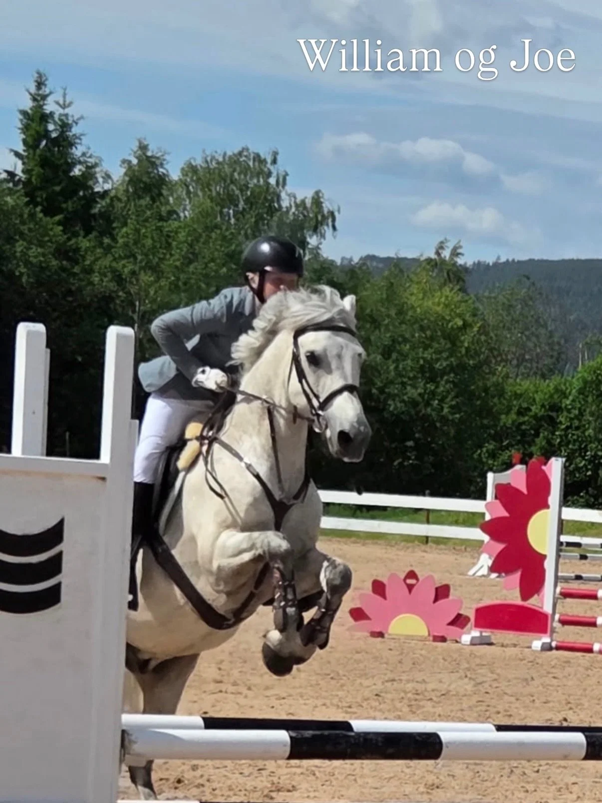 Stevnehelgen i sprang 5-7 juni 

⭐️ 8 startende var ute &aring; representerte Nittedal Rideklubb i sprang i helgen⭐️

S&oslash;ndre Nordstrand Rideklubb og H&oslash;nefoss og Ringerike rideklubb har arrangert stevner denne helgen. 

Maria og Rover 
E