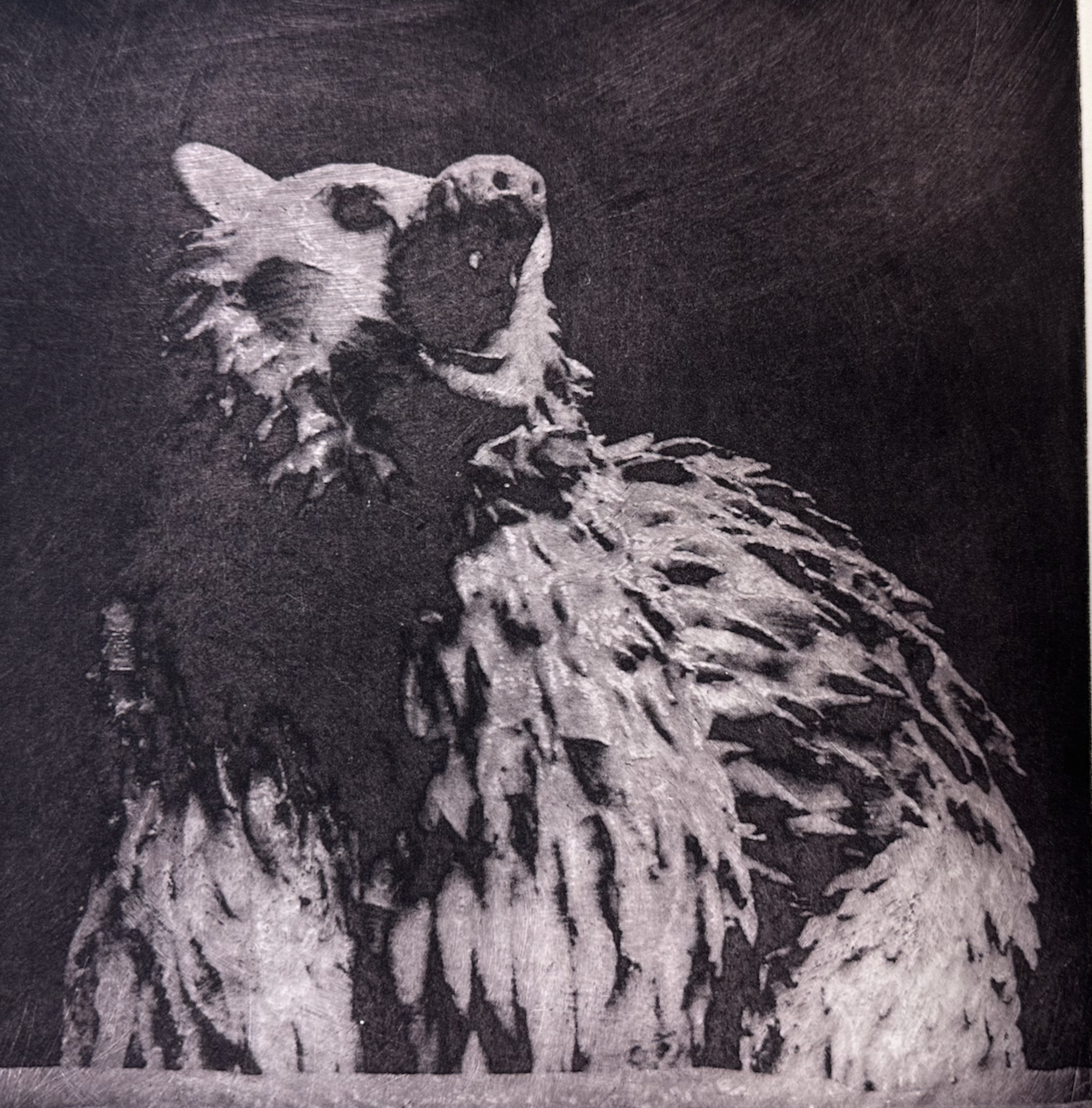 Screenshot 2025-11-25 at 9.11.07 AM.png