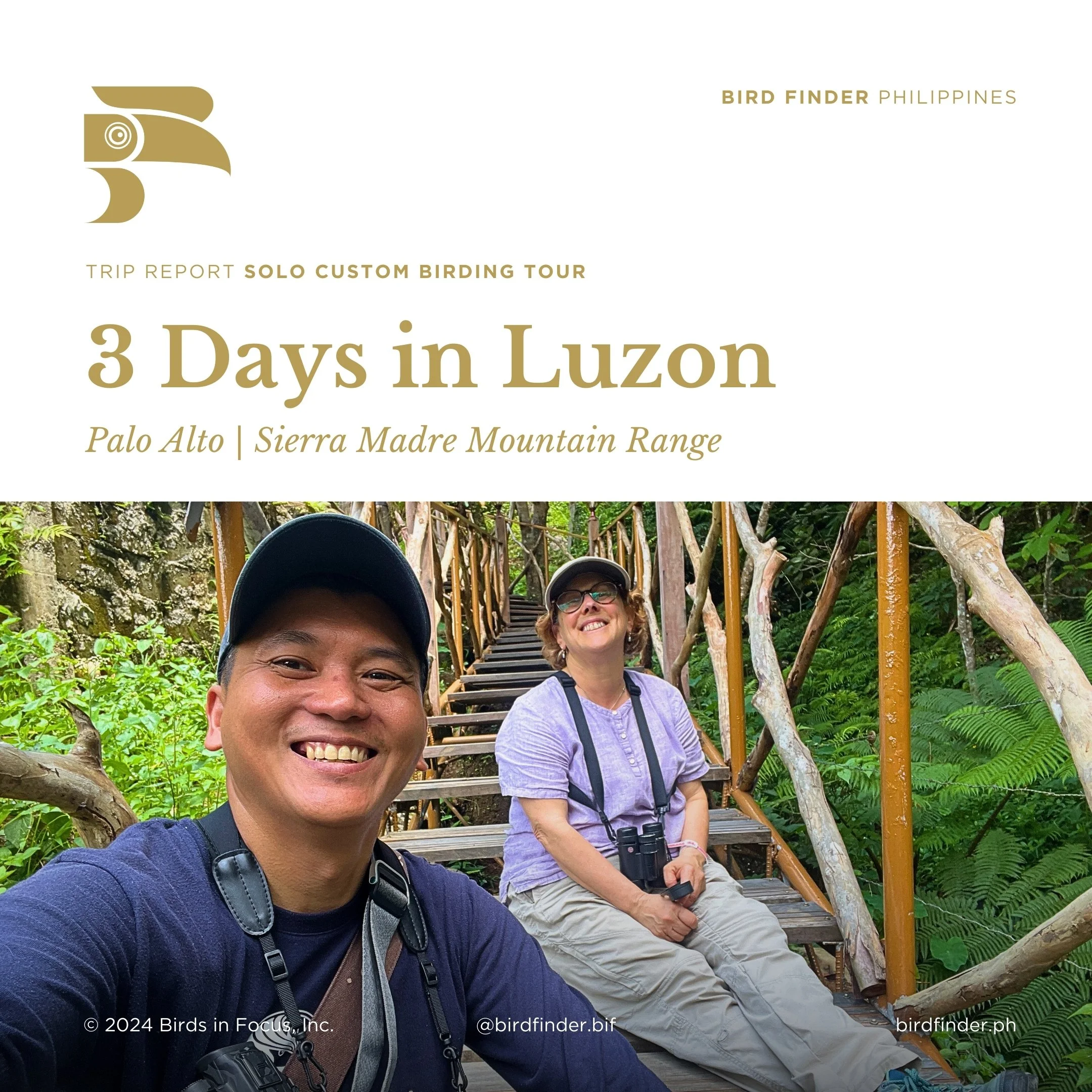 2024 Solo Custom: 3 Days in Luzon
