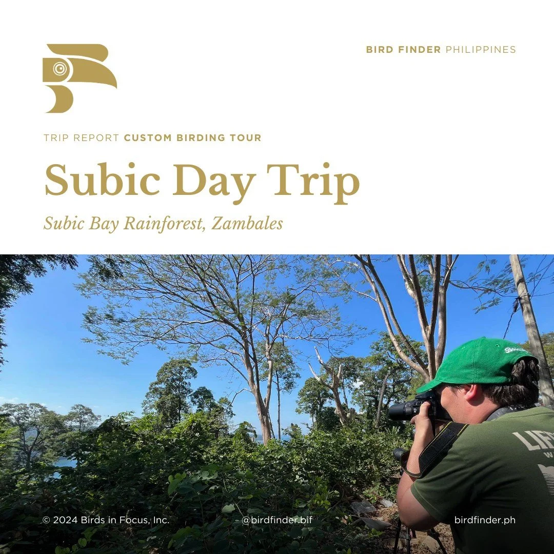 2025 Subic Bay Day Trip - Group Custom Tour — Bird Finder Philippines