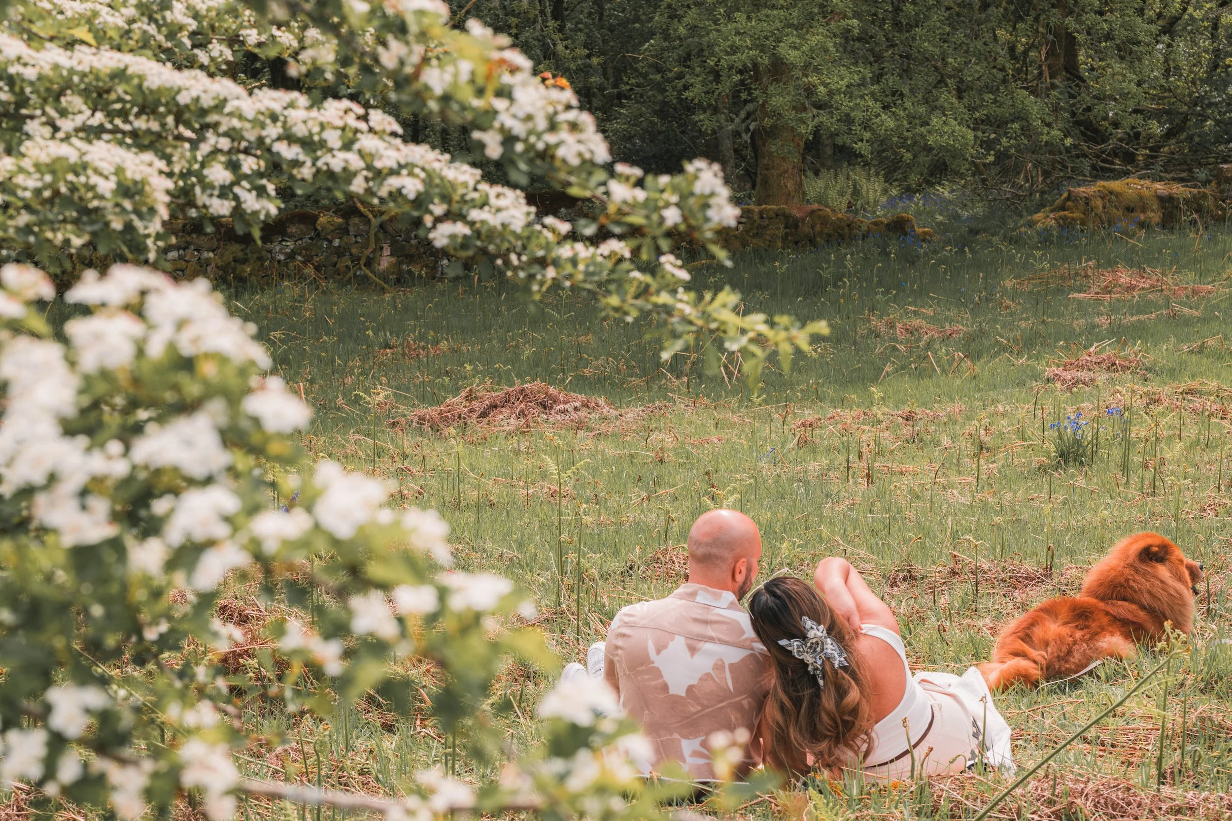 Engagement photographer
