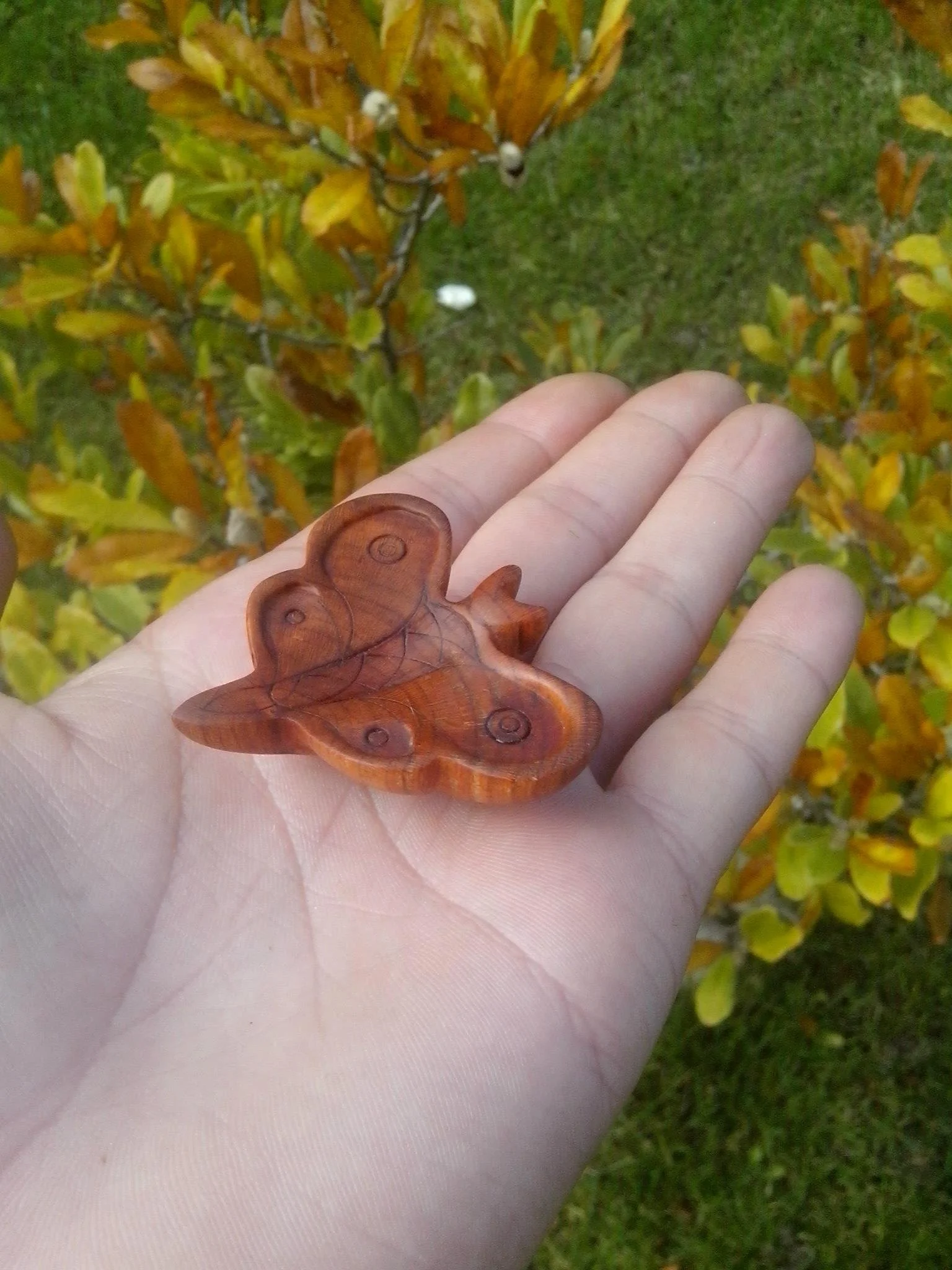 hand holding wooden butterfly carving outdoors near leaves
