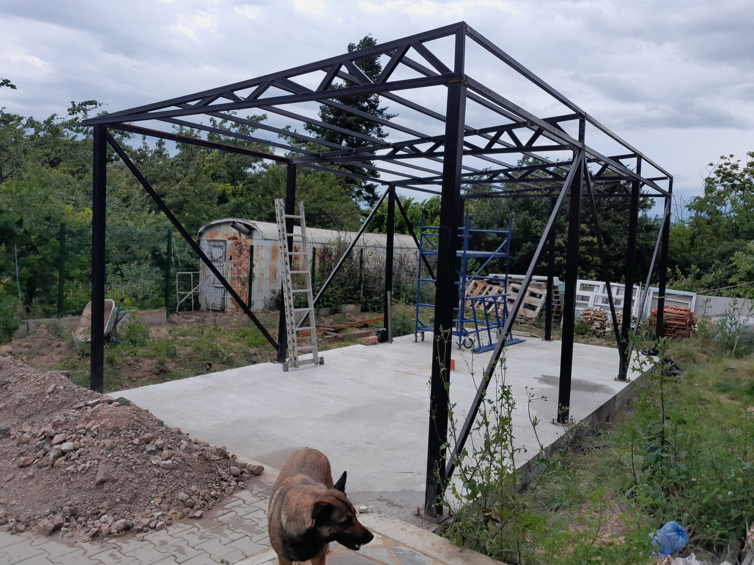 Metal framework structure on a concrete slab with a ladder and scaffolding. A dog is in the foreground with a trailer and foliage in the background.