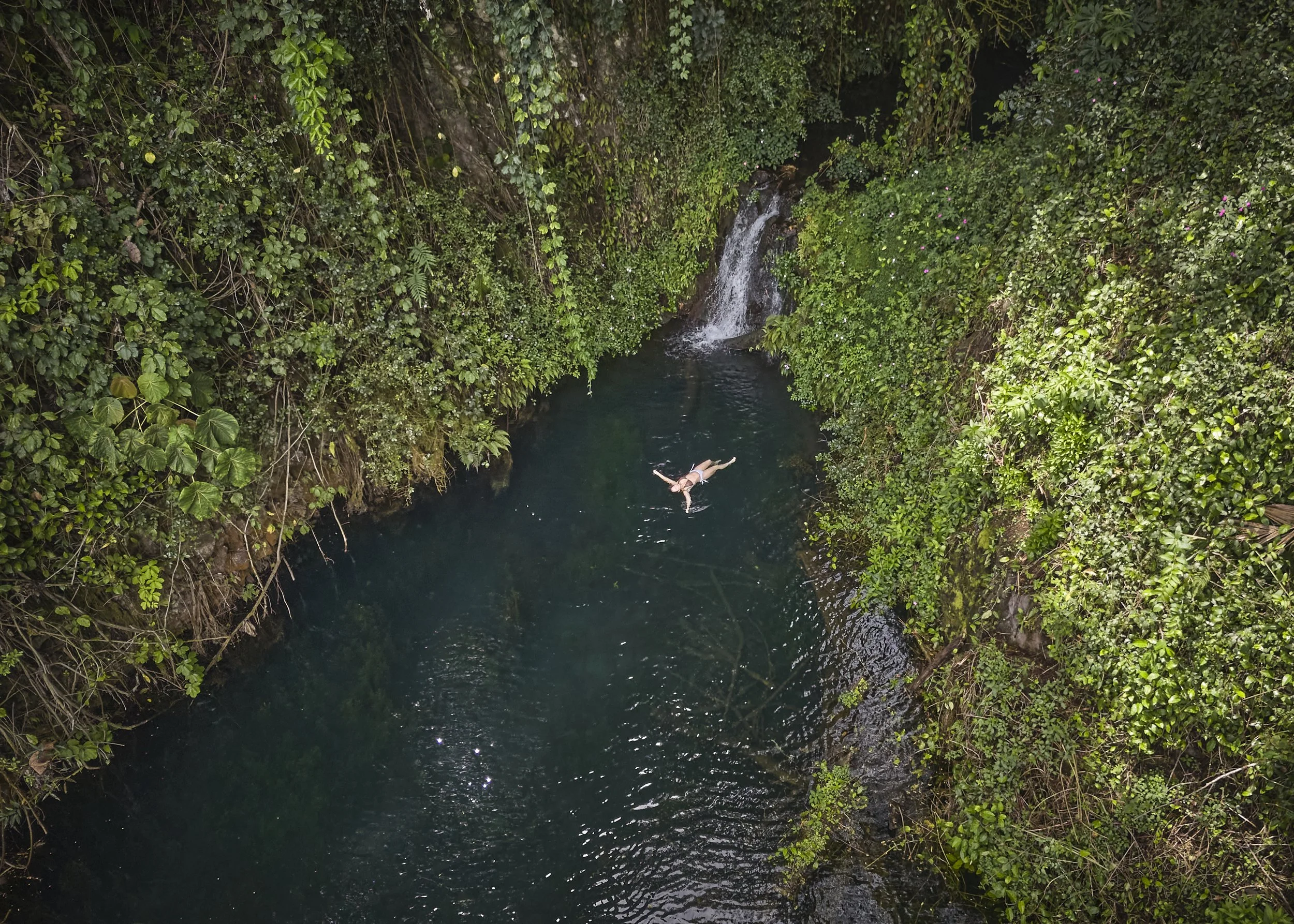 Person swimming in a natural, lush green canyon with a small waterfall at the top.