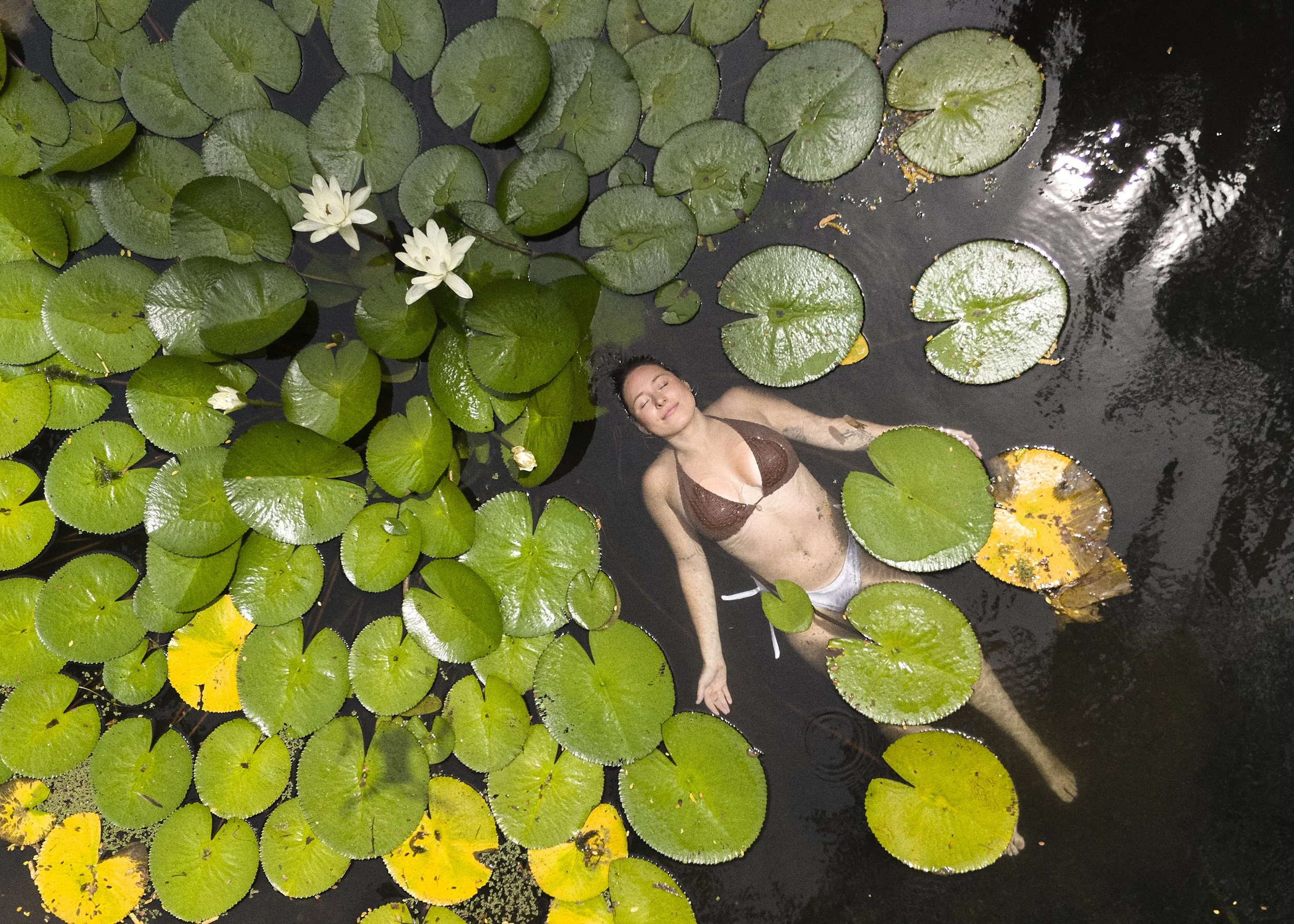 A woman relaxing in a pond filled with green lily pads and white water lilies, with some yellowing lily pads.