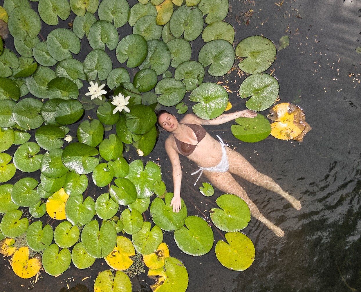 lilly pad.jpg